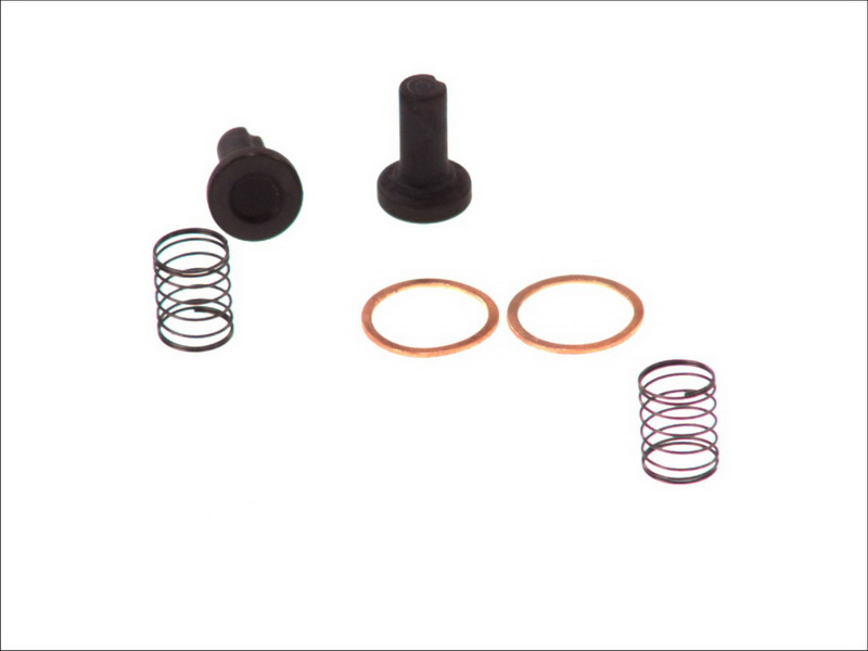 2447010011 BOSCH