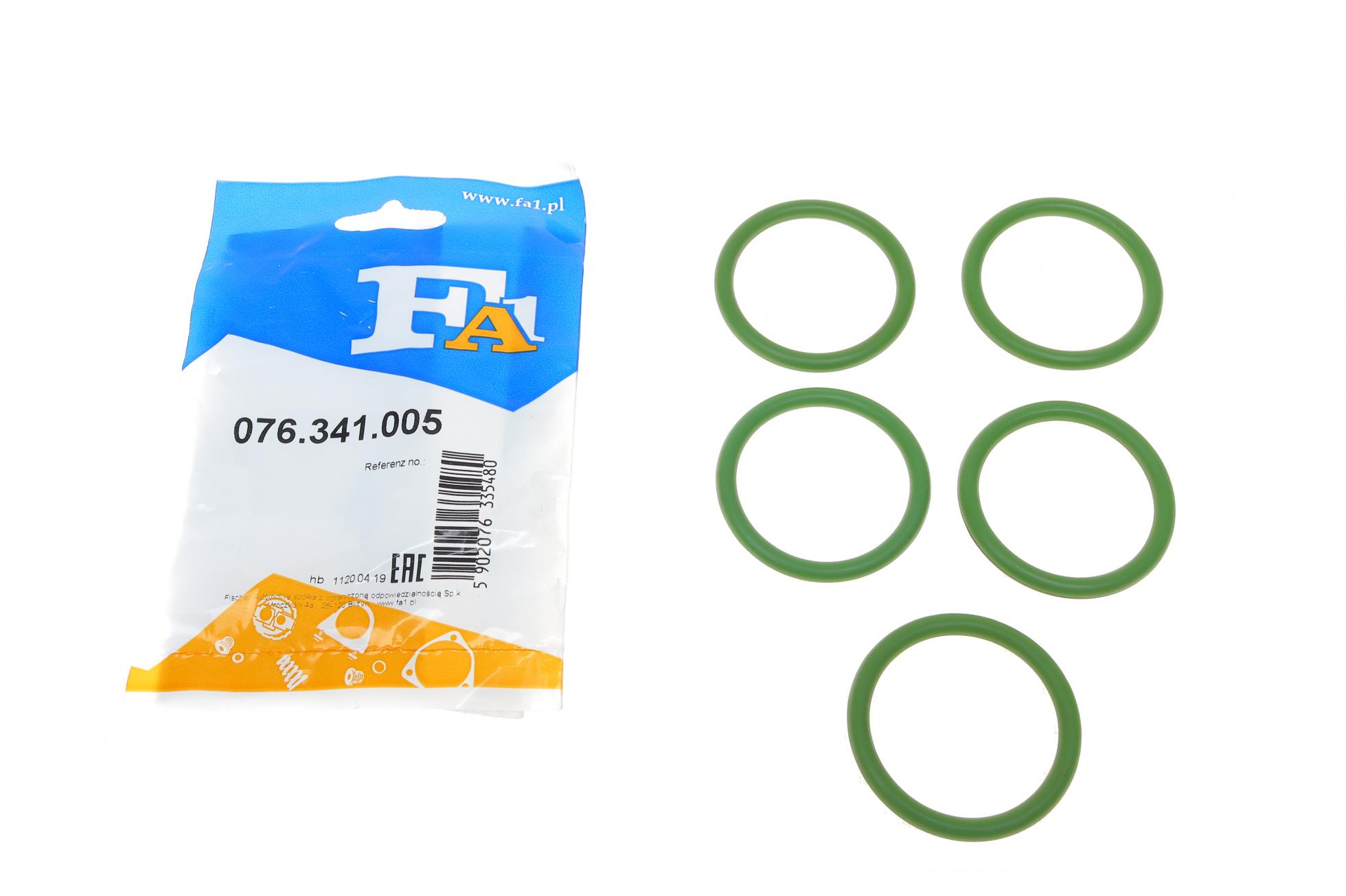 076341005 FA1