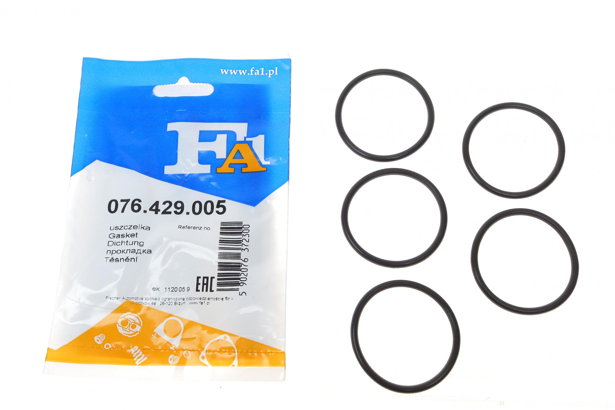 076429005 FA1