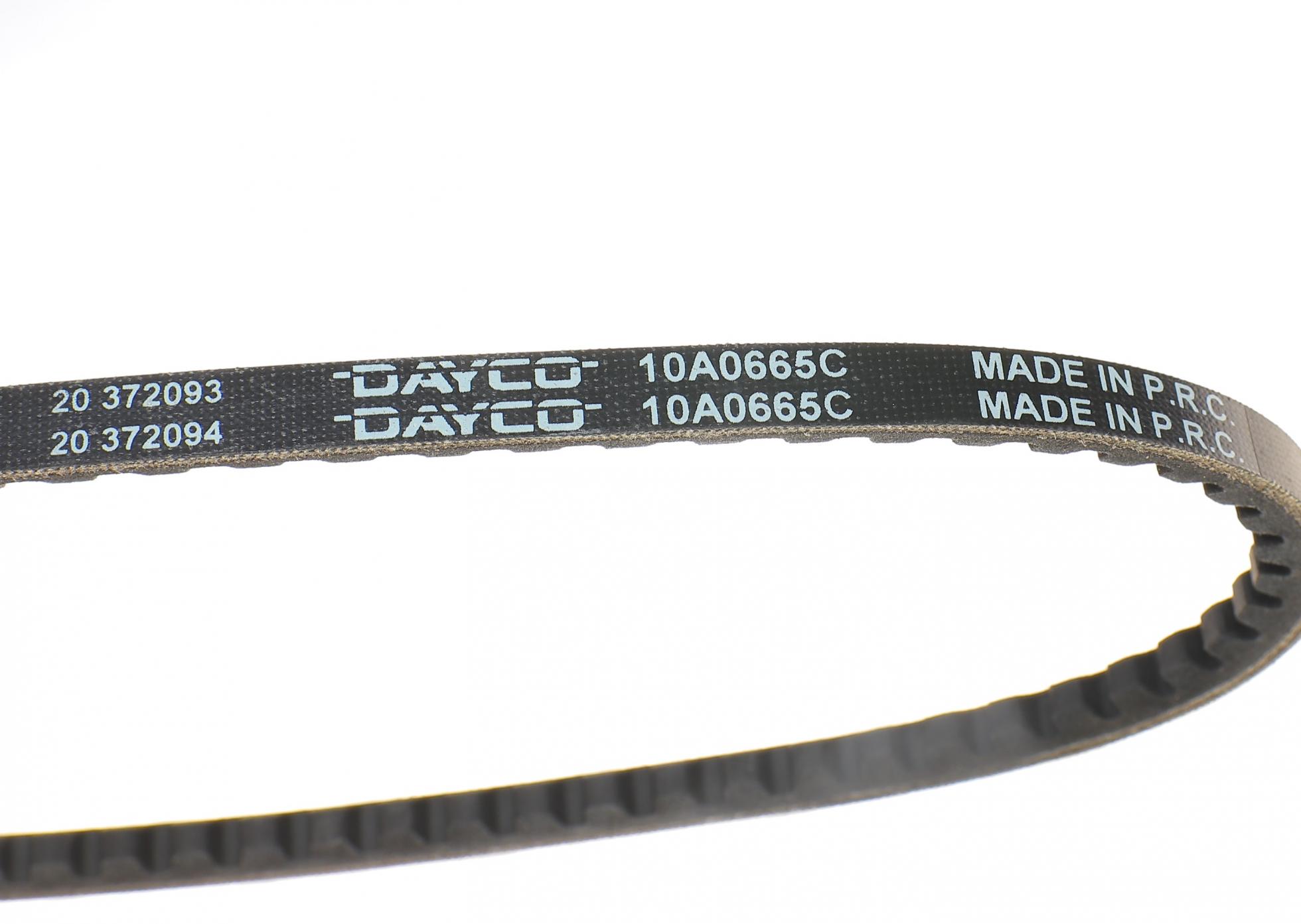 10A0665C DAYCO