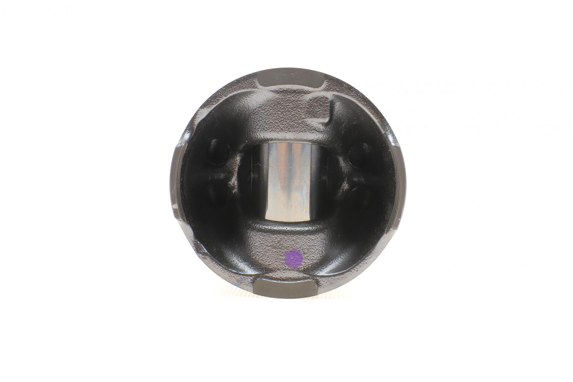 120A13419R RENAULT