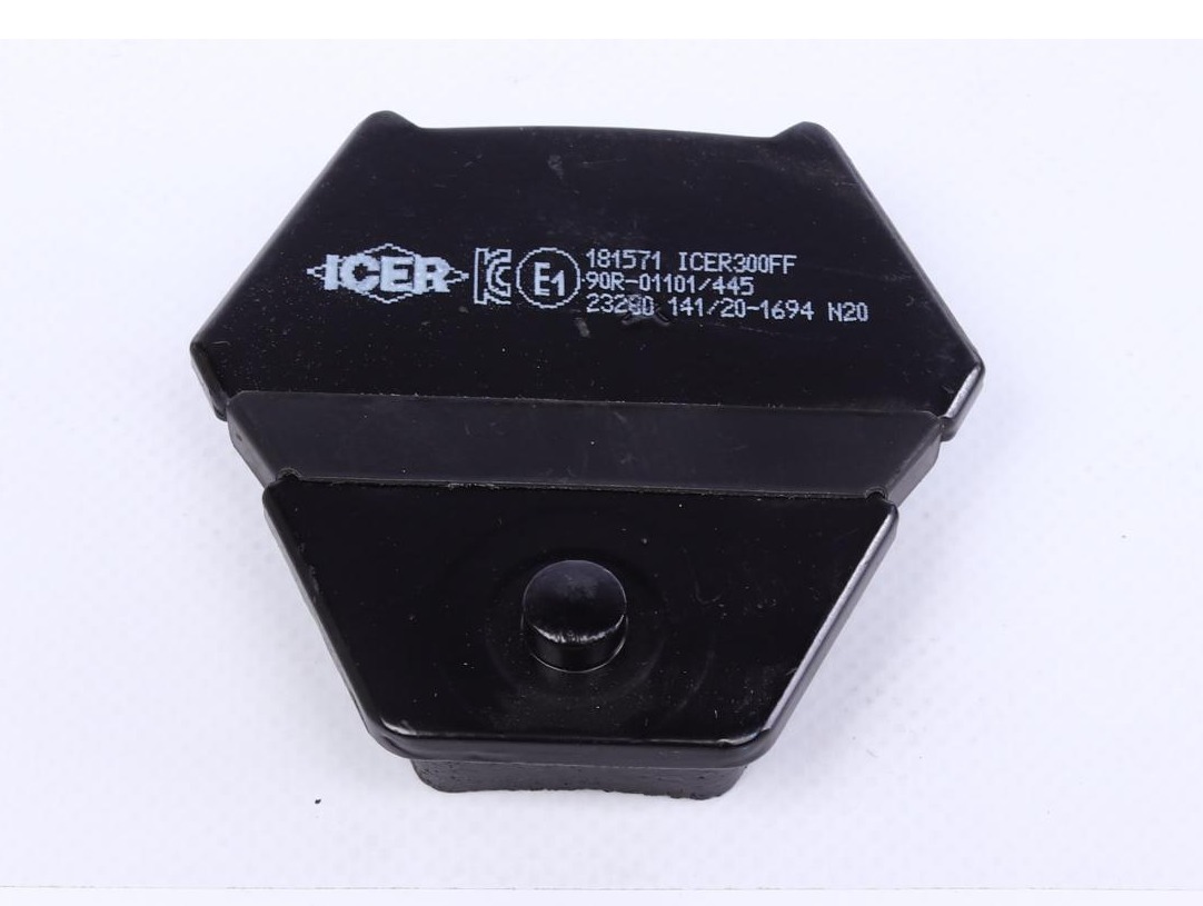 181571 ICER