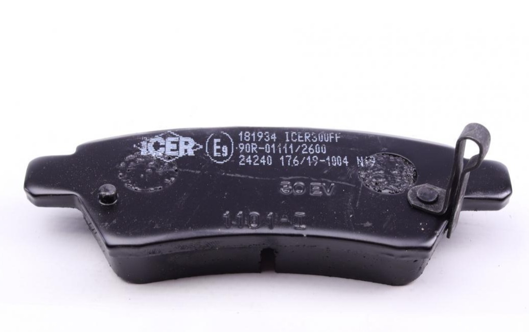 181934 ICER
