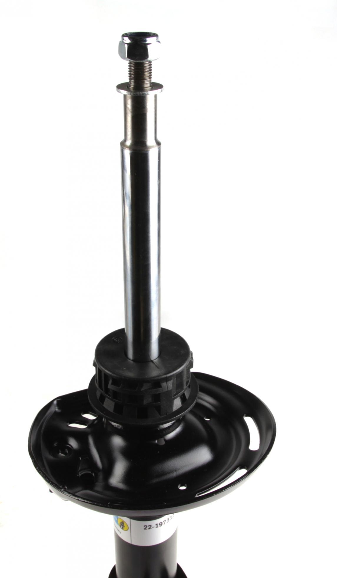 22197313 BILSTEIN