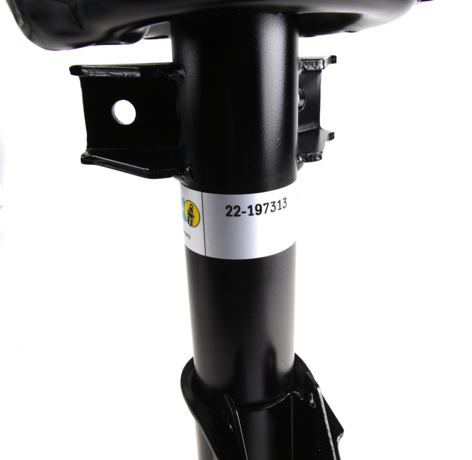22197313 BILSTEIN