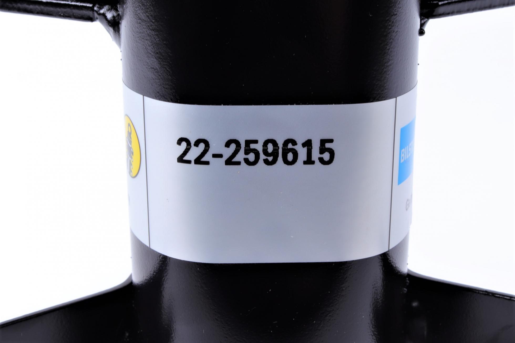 22259615 BILSTEIN