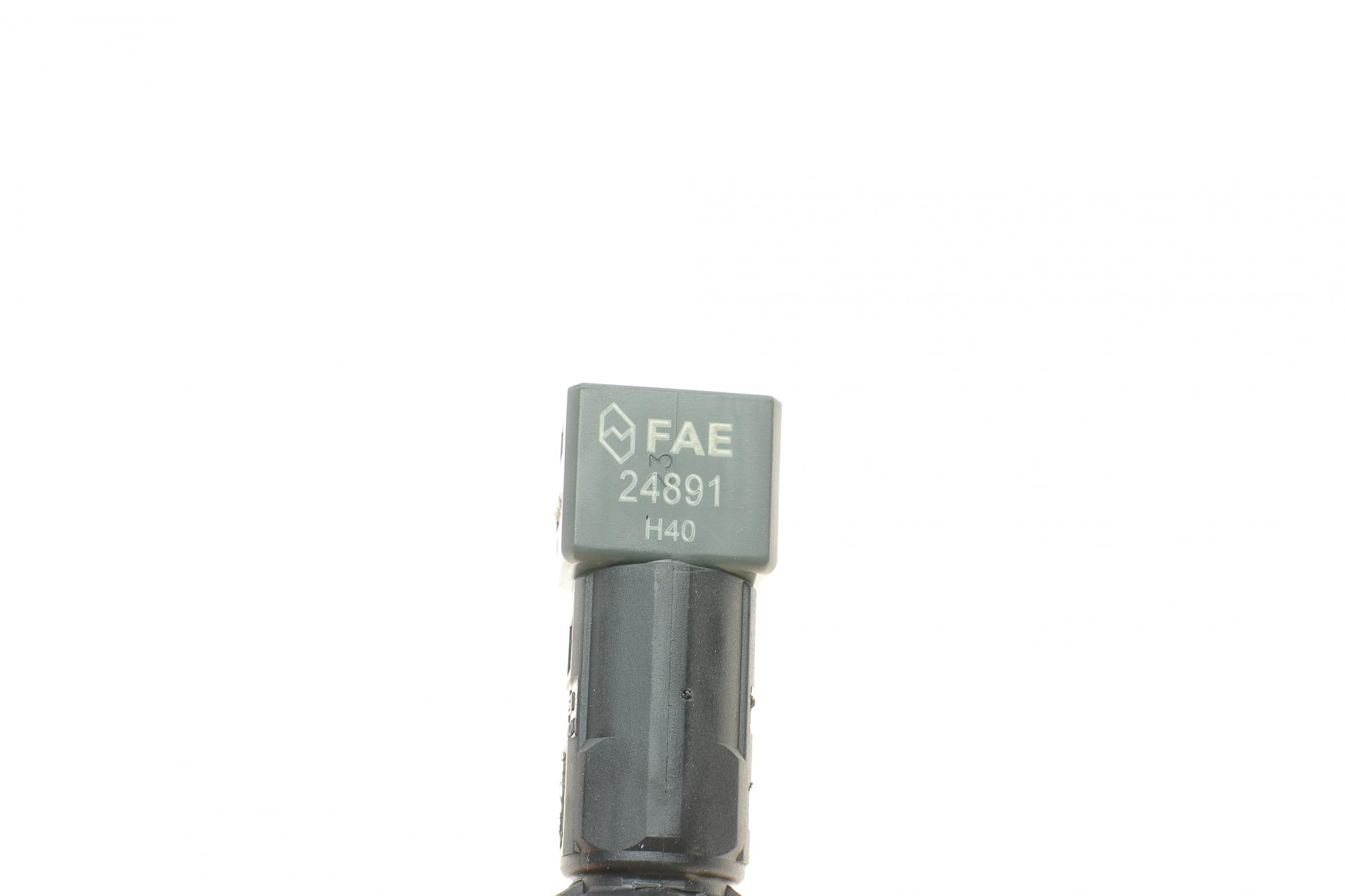 24891 FAE