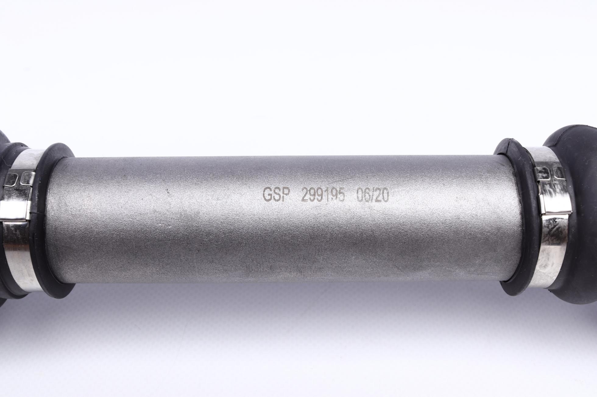 299195 GSP
