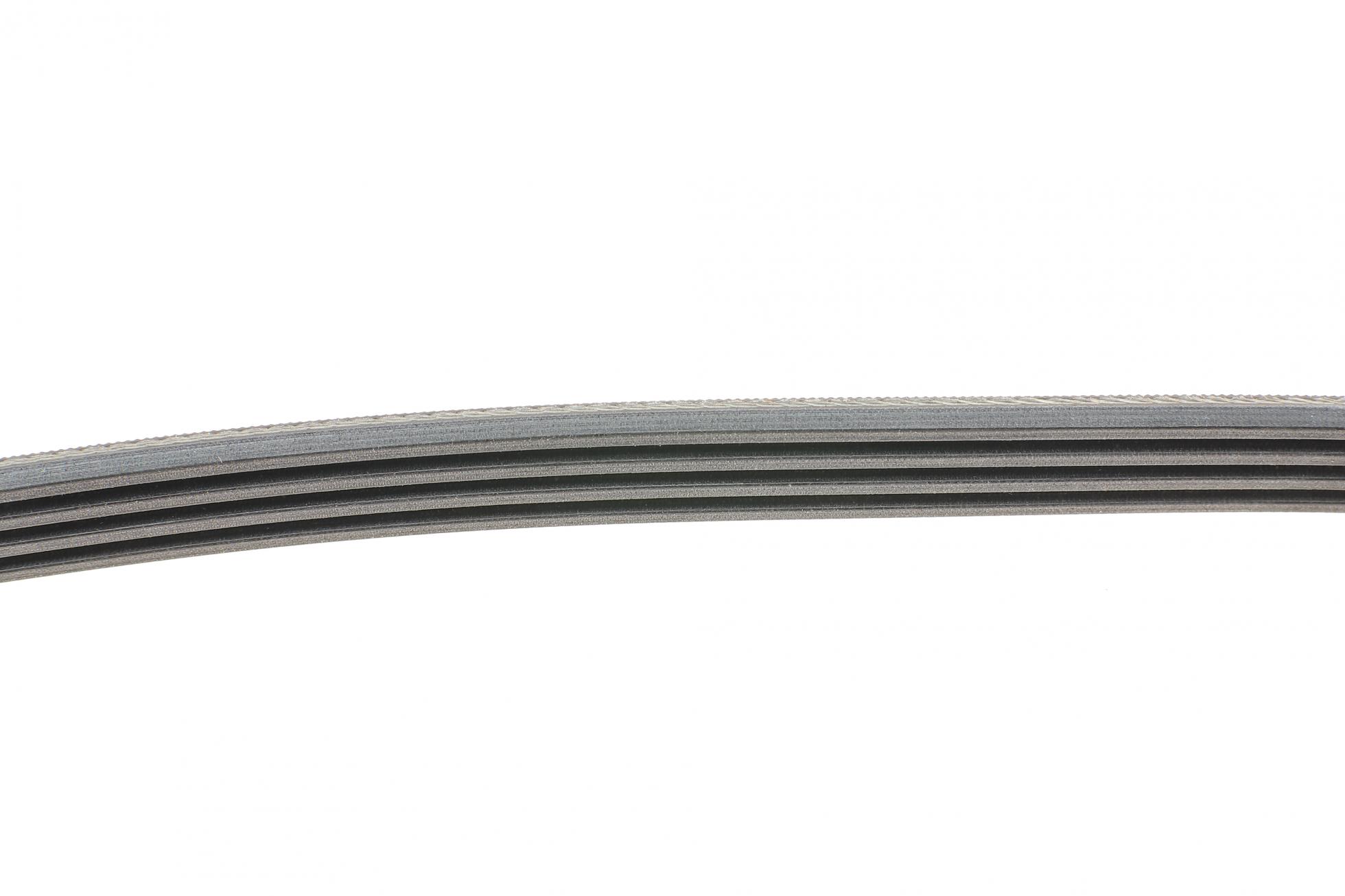 4PK1125 CONTITECH