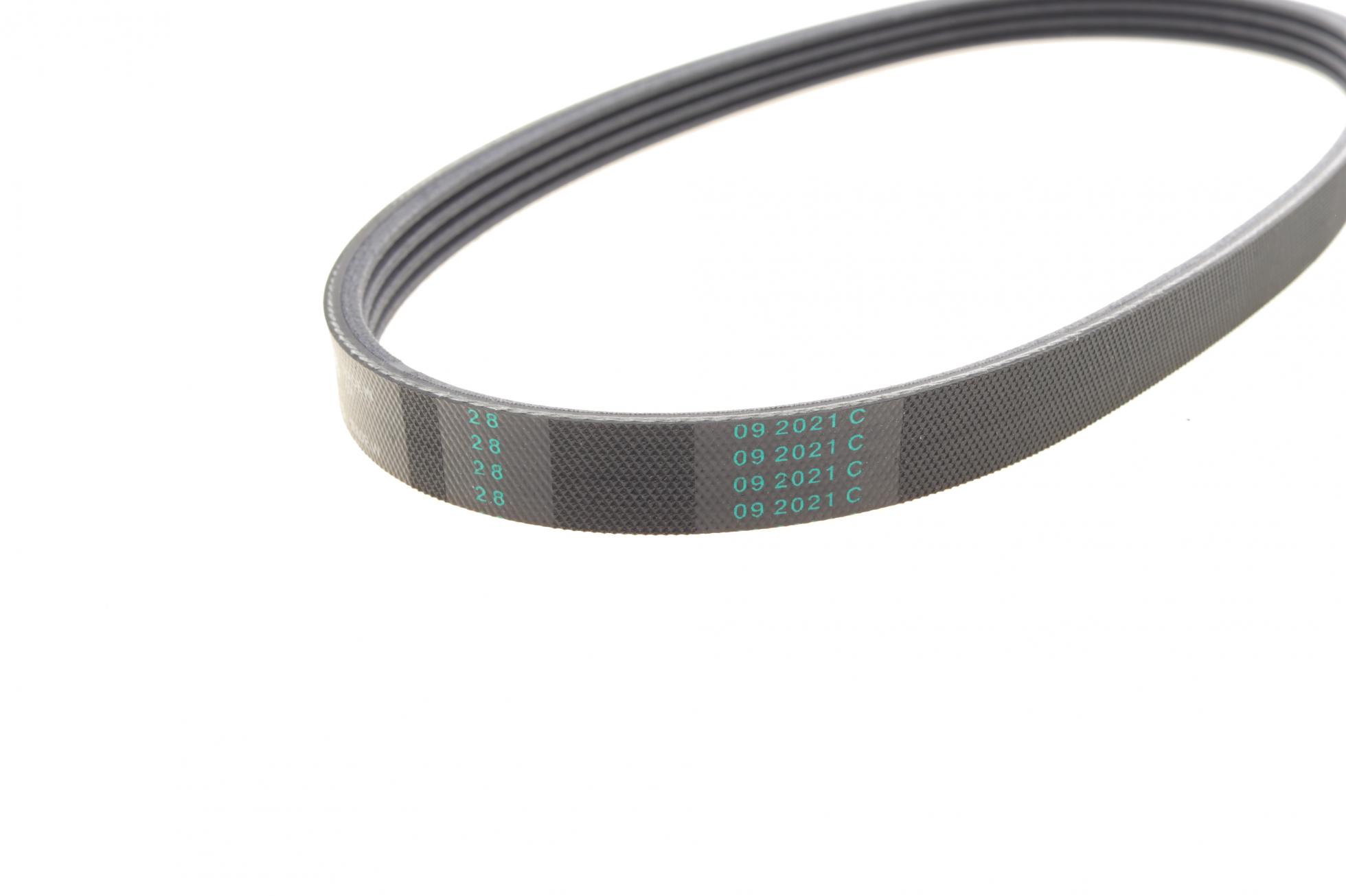 4PK648 CONTITECH