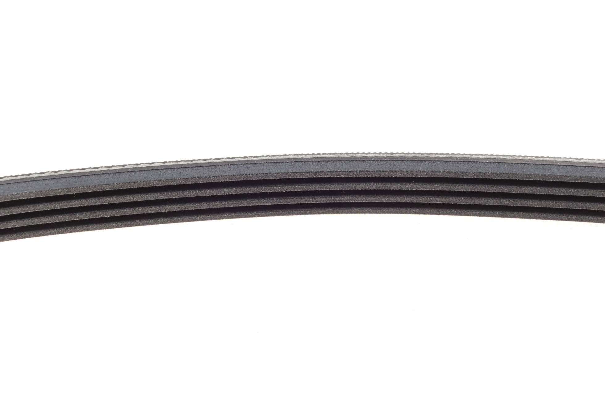 4PK648 CONTITECH
