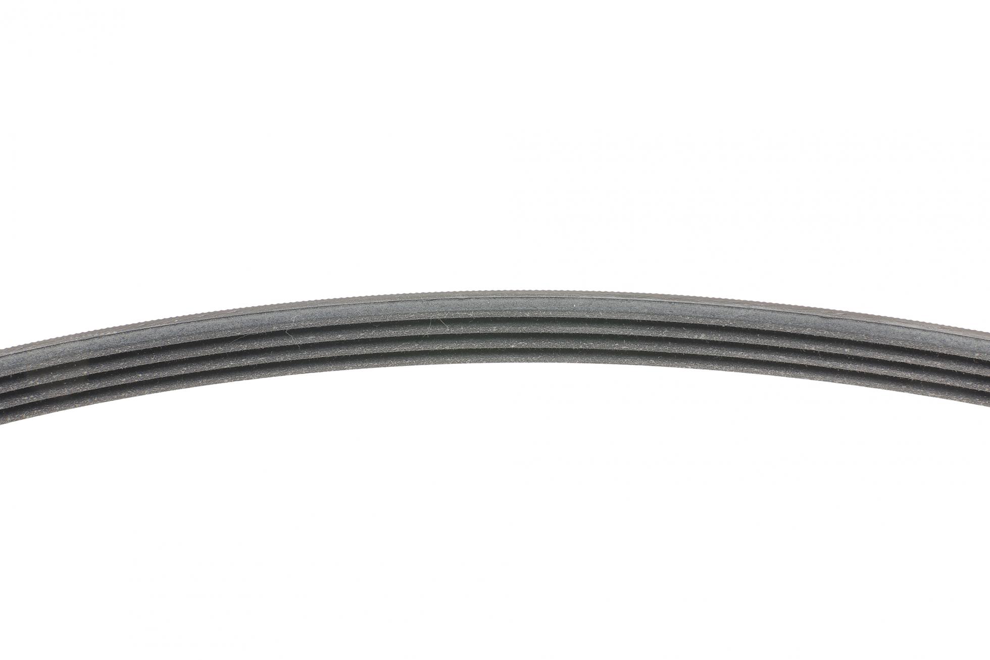 4PK735 Contitech