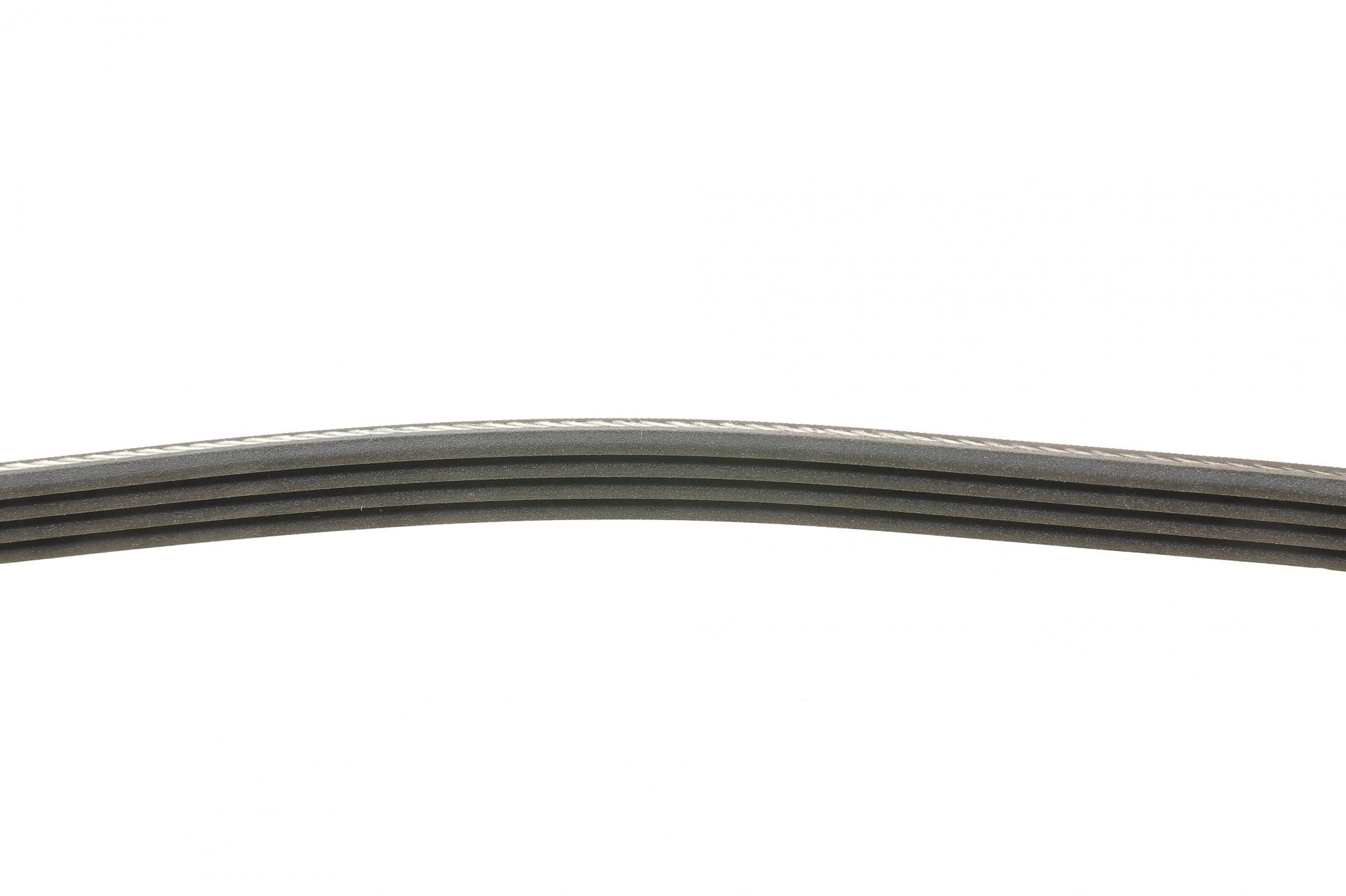 4PK795 CONTITECH