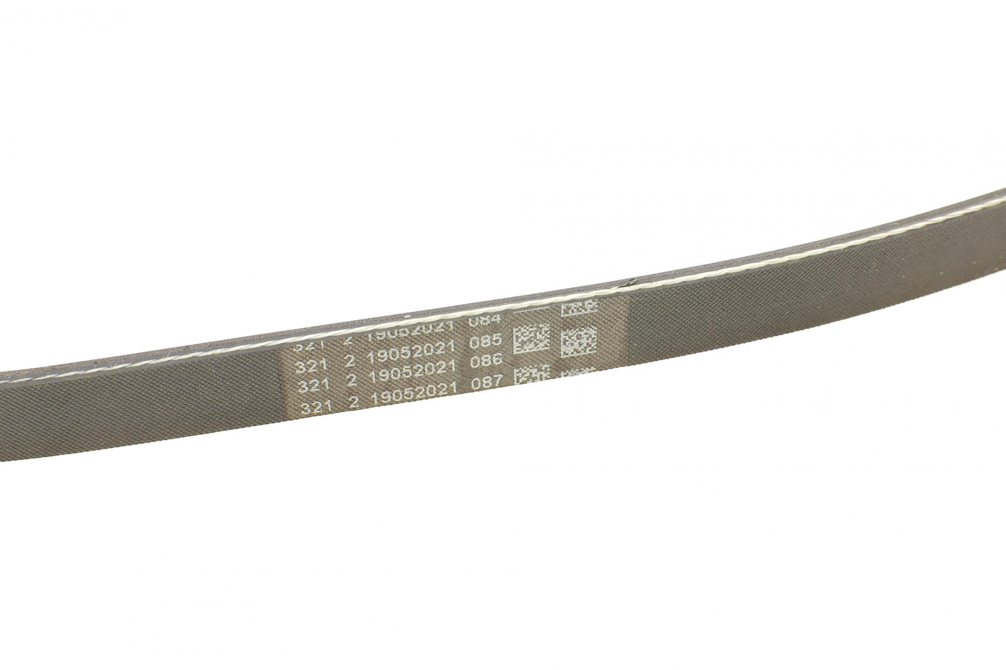 4PK795 CONTITECH