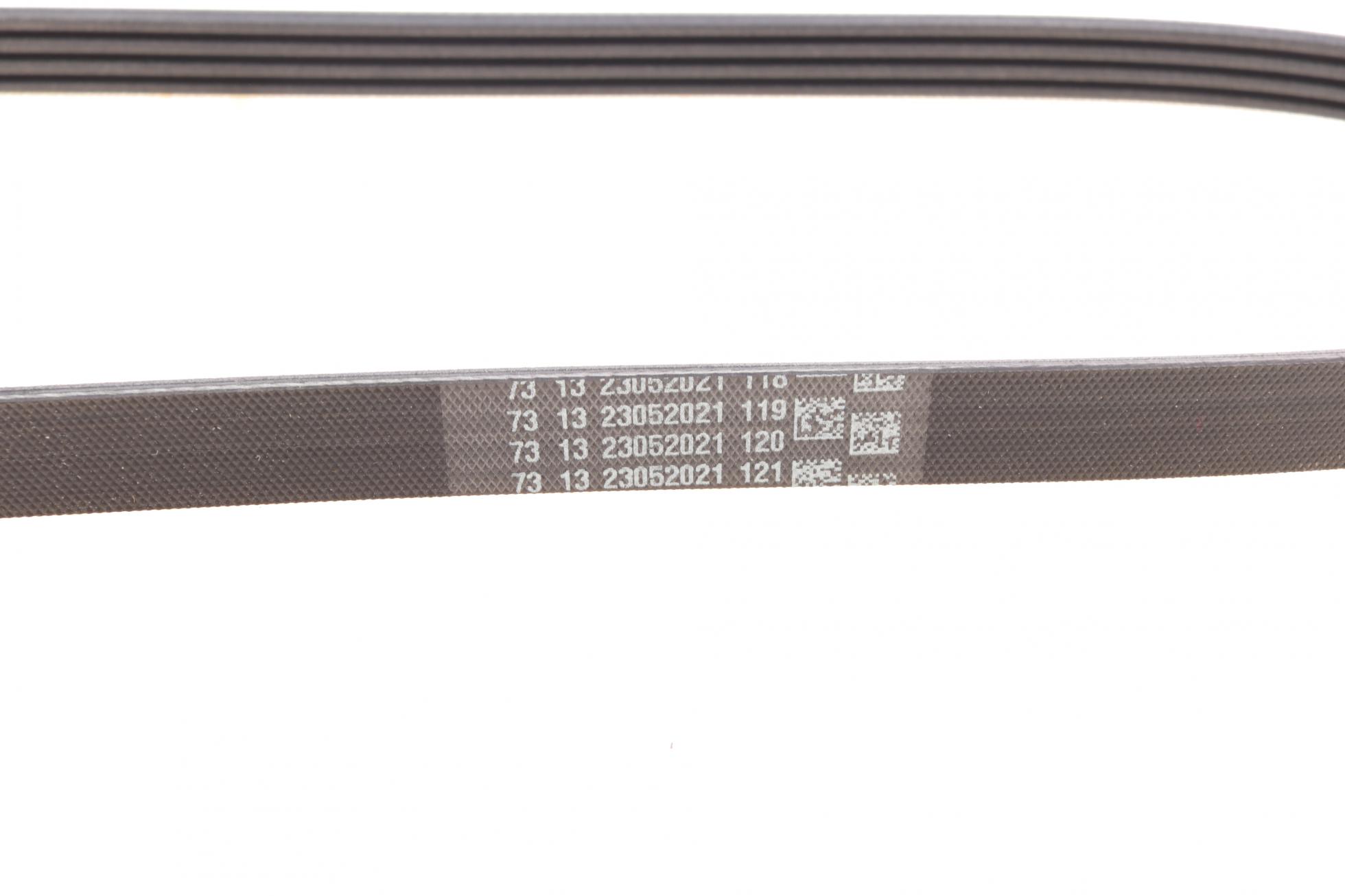 4PK805 CONTITECH