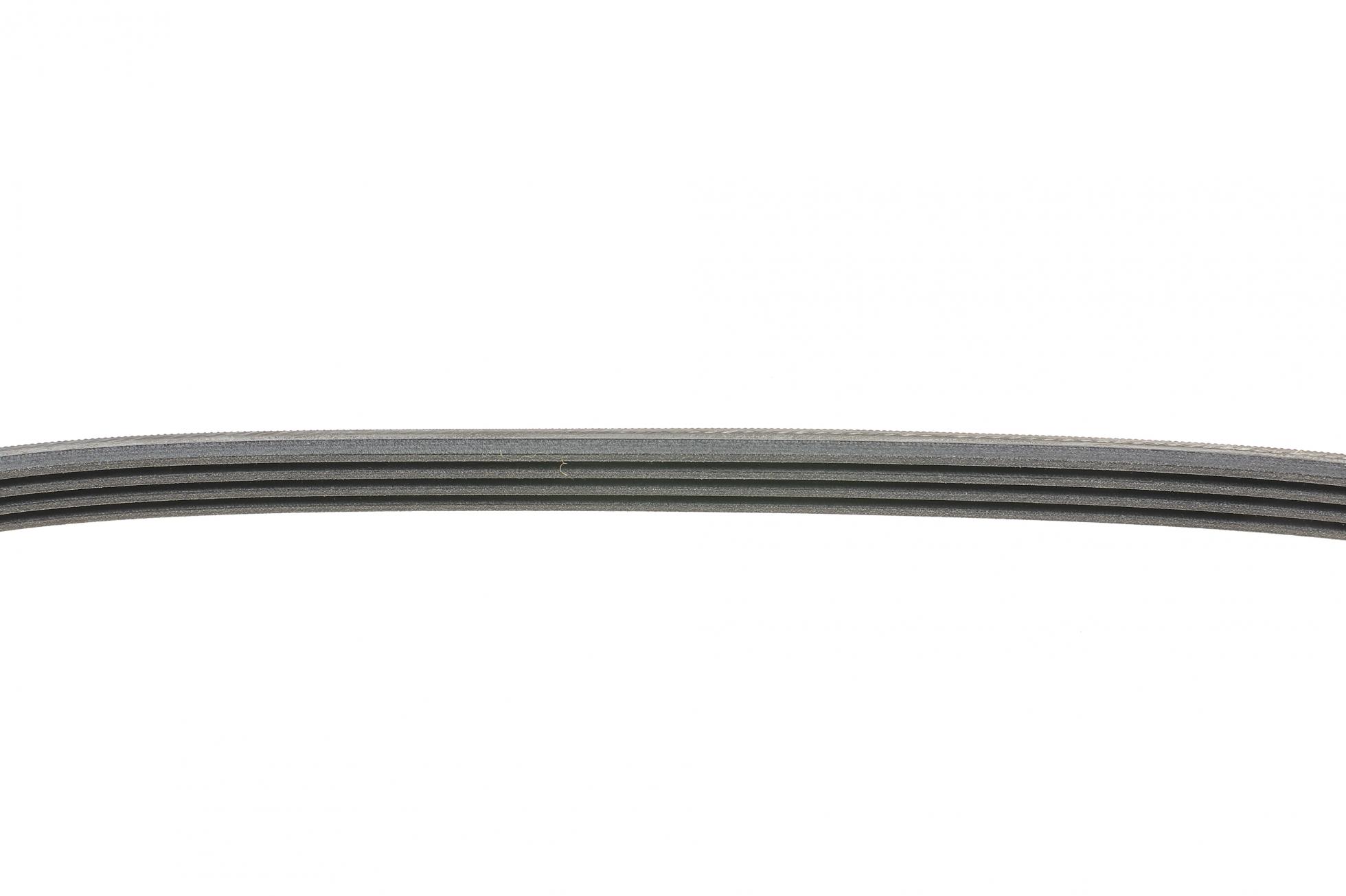 4PK825 CONTITECH