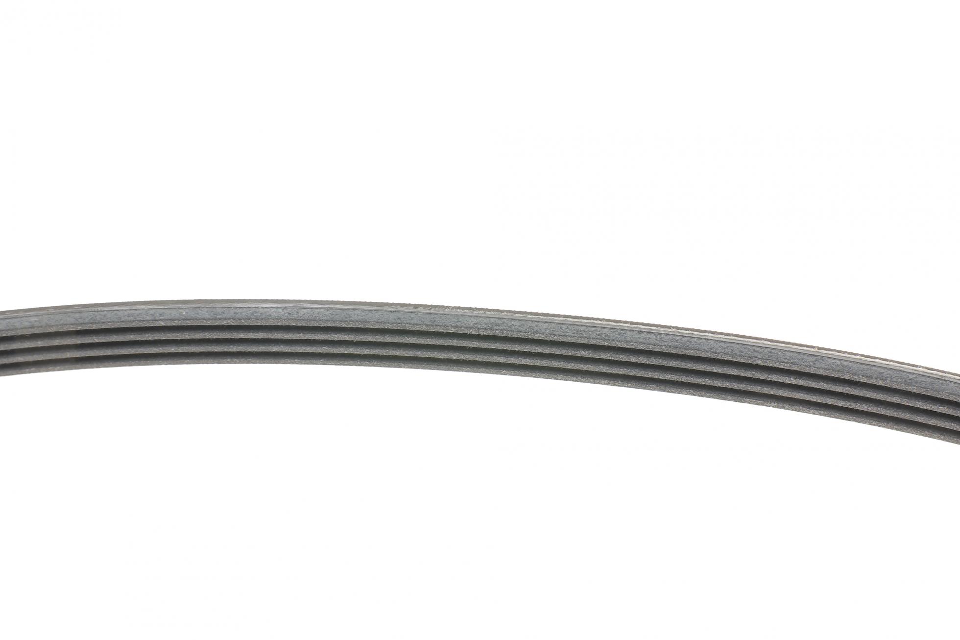 4PK845 Contitech