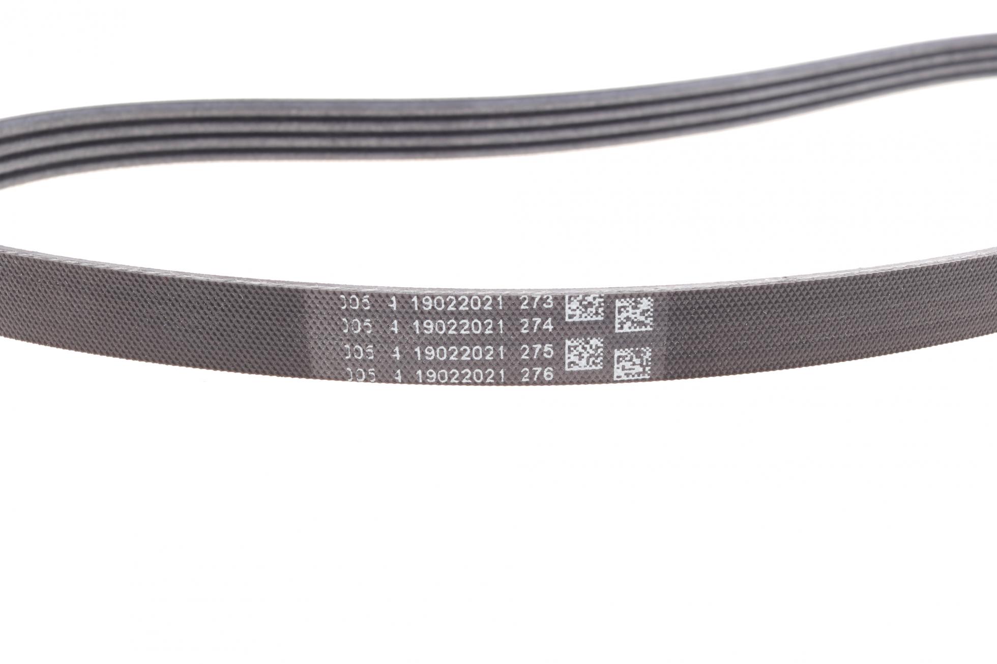 4PK855K1 CONTITECH