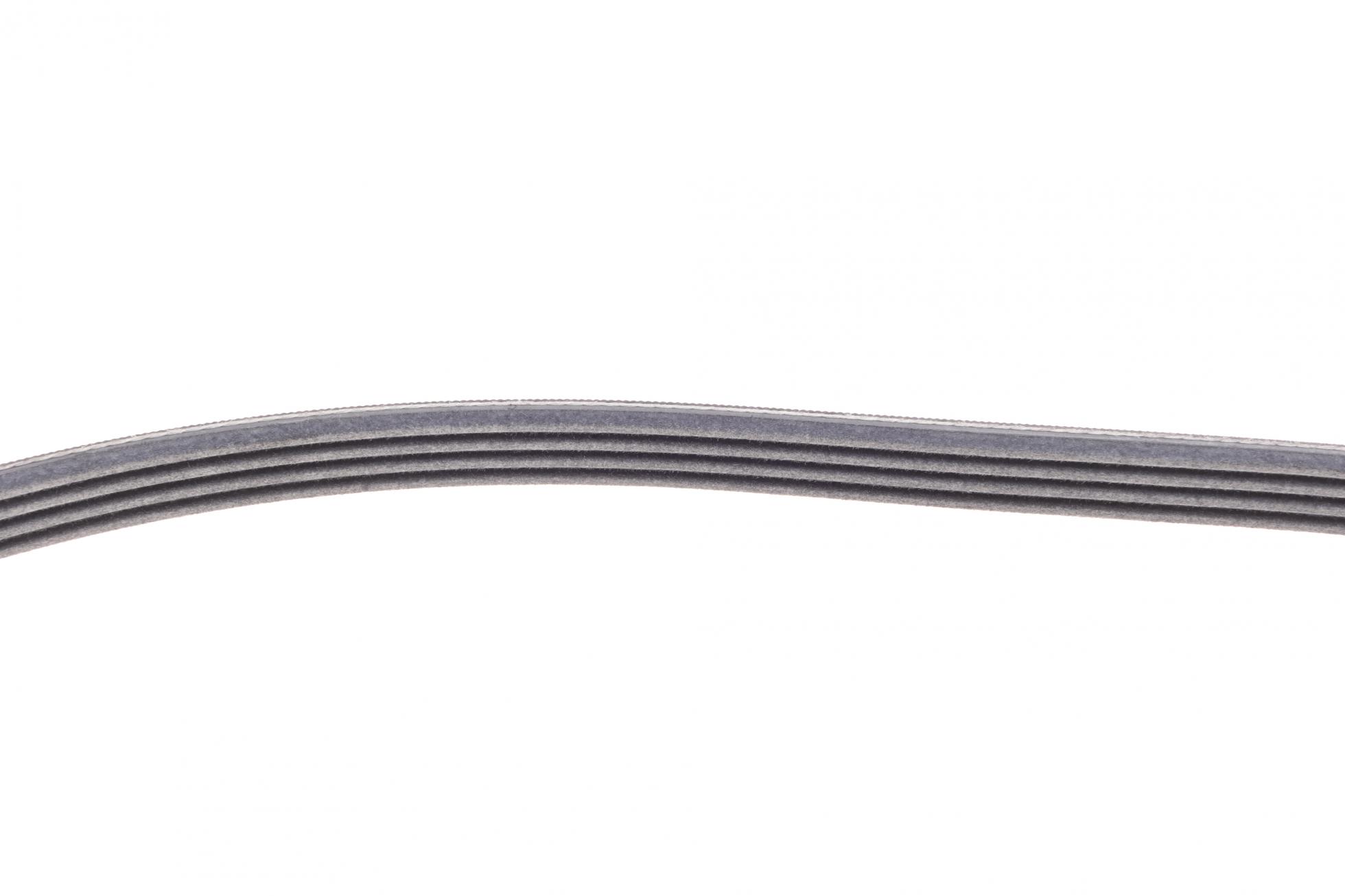 4PK855K1 CONTITECH