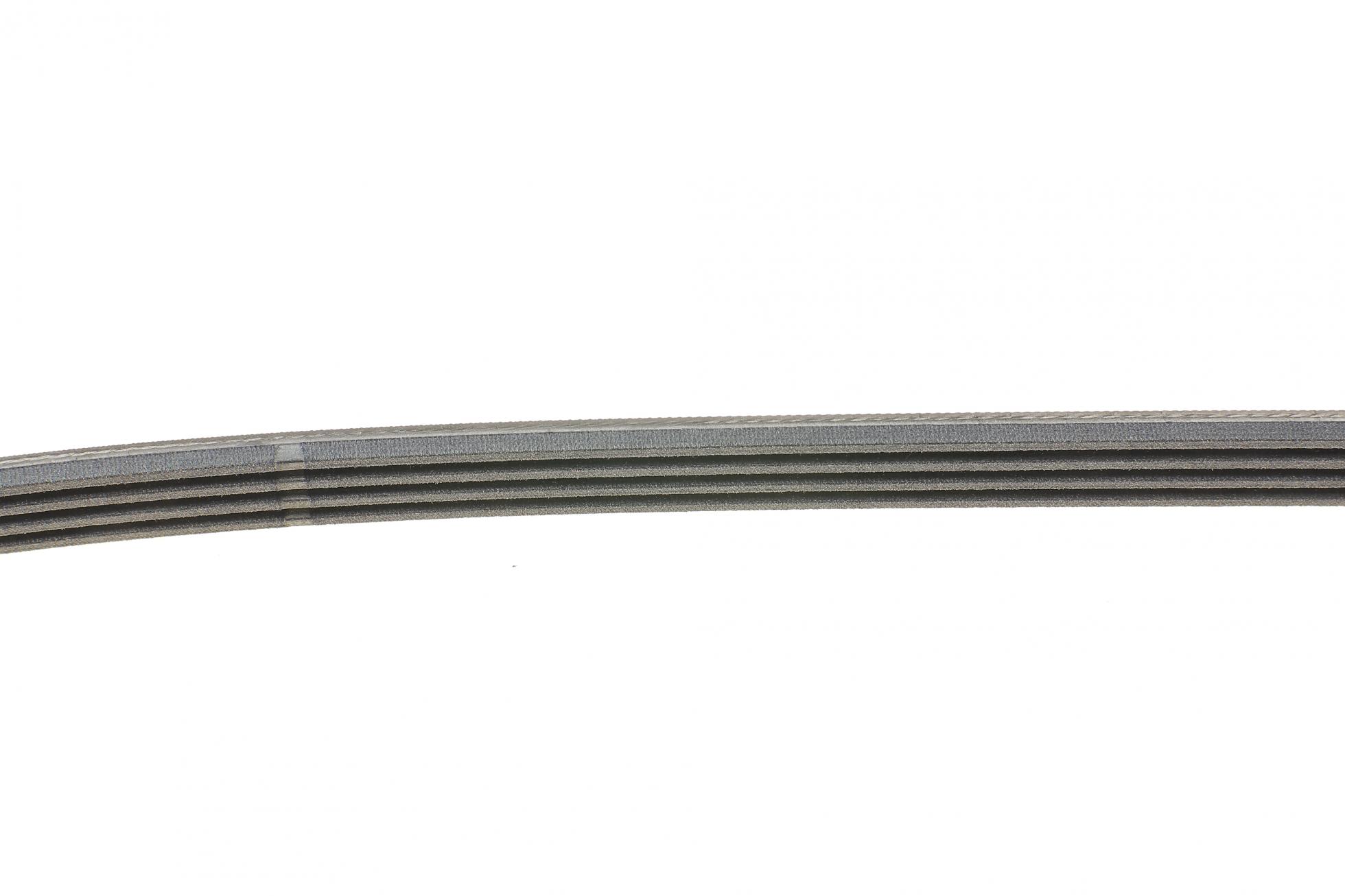 4PK895 CONTITECH