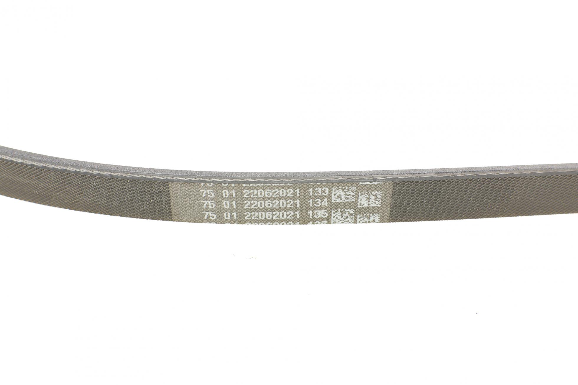 4PK895 CONTITECH