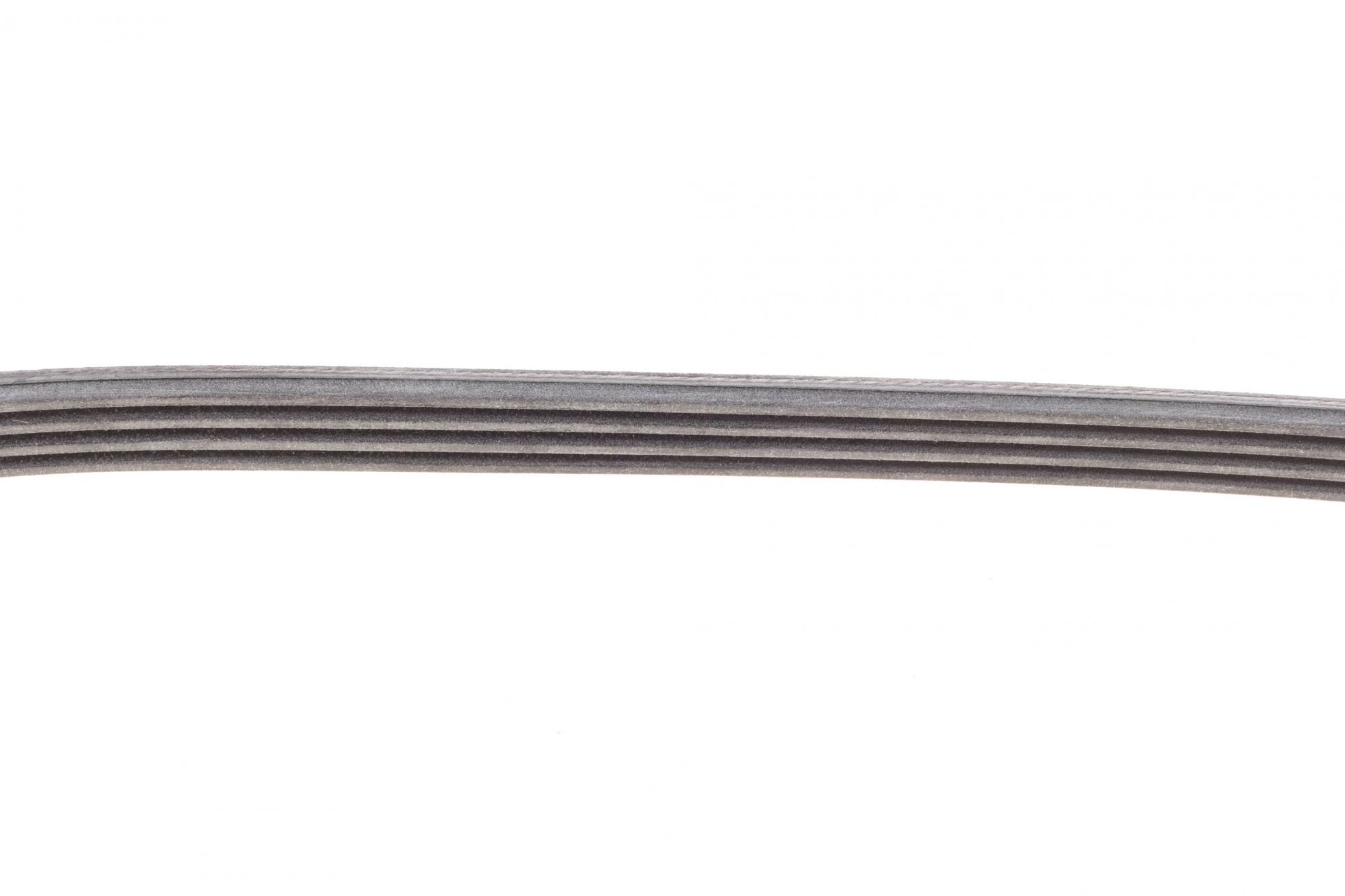 4PK903ELAST CONTITECH