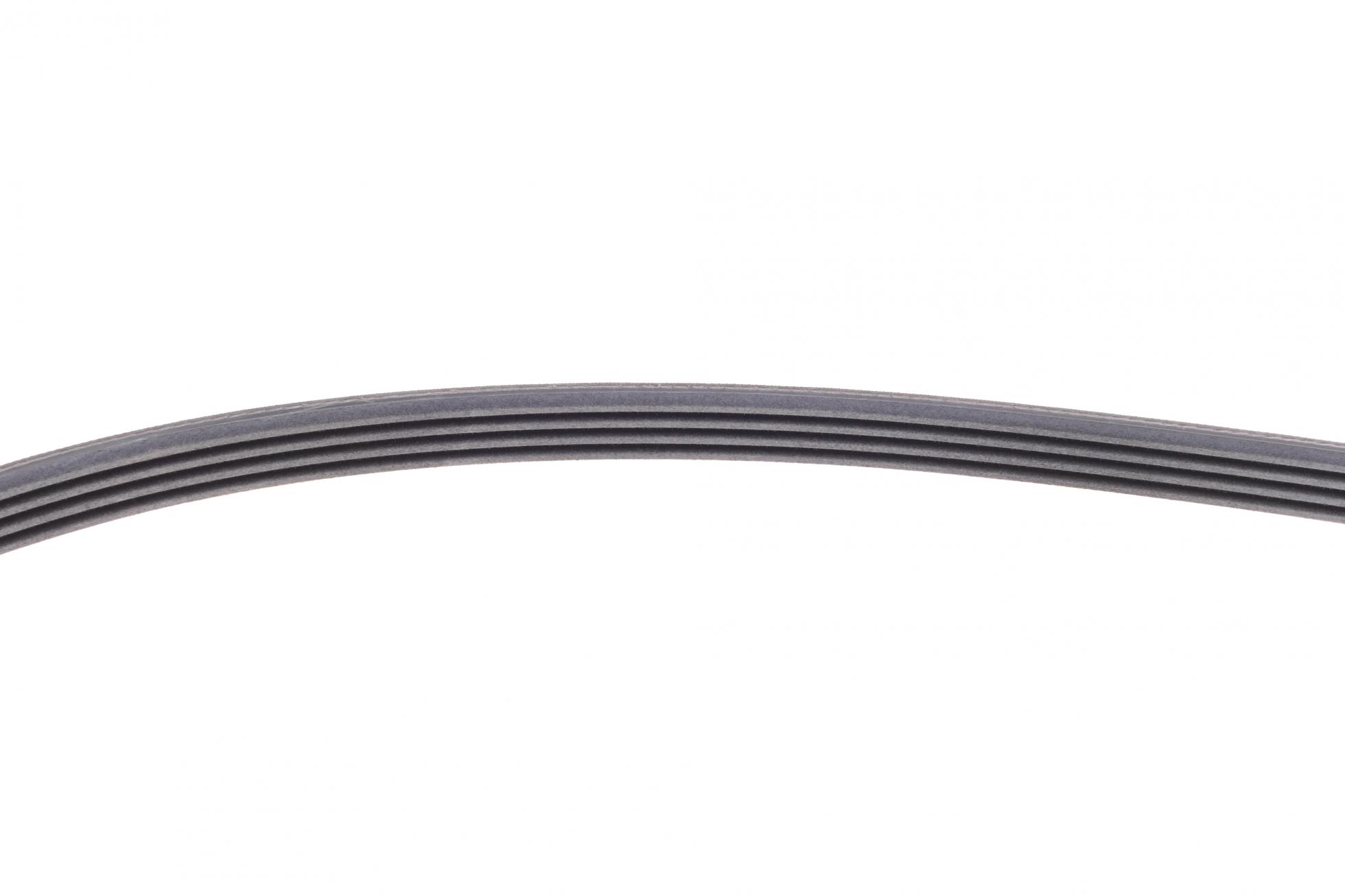 4PK916ELAST CONTITECH