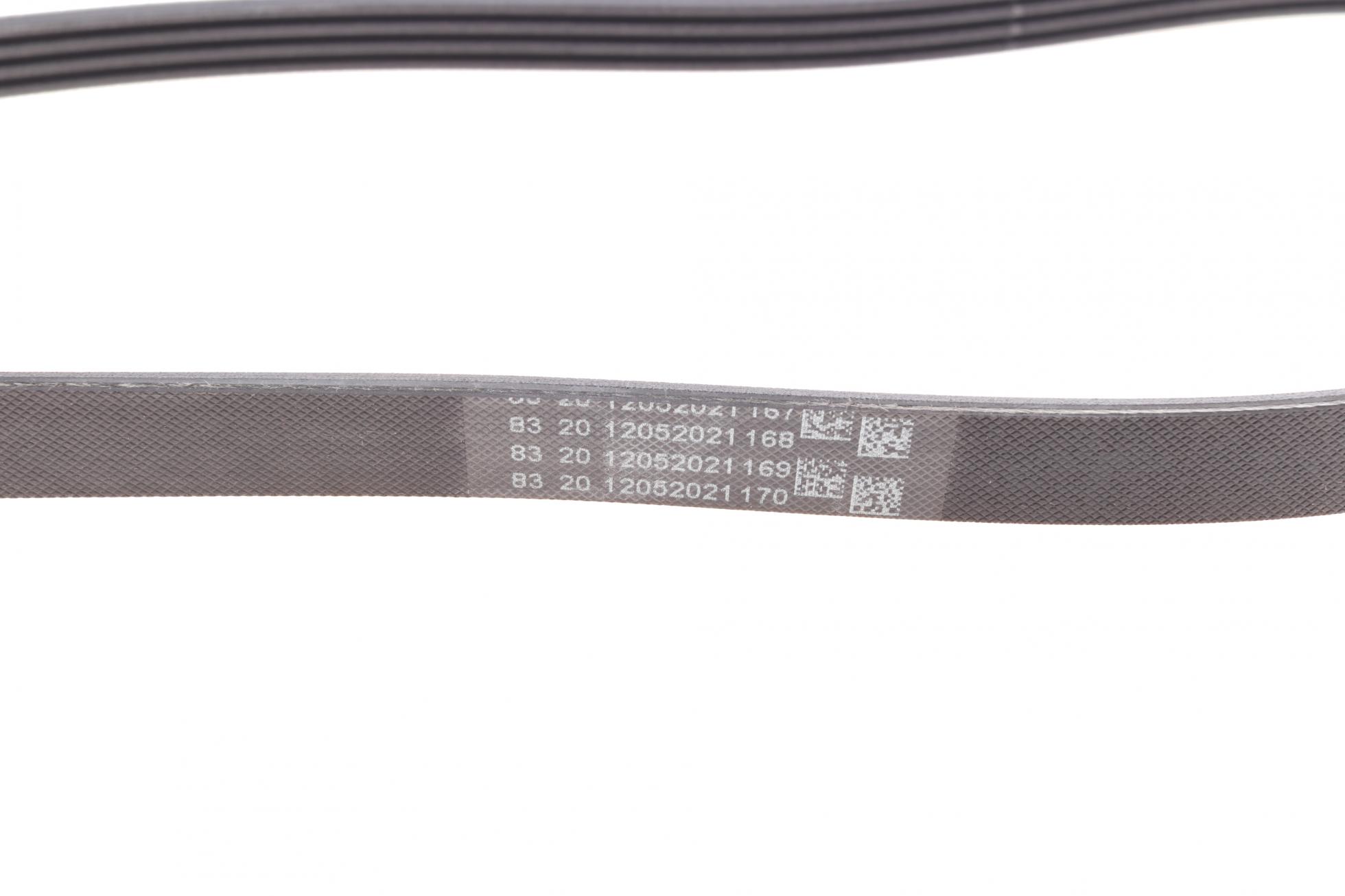 4PK938 CONTITECH