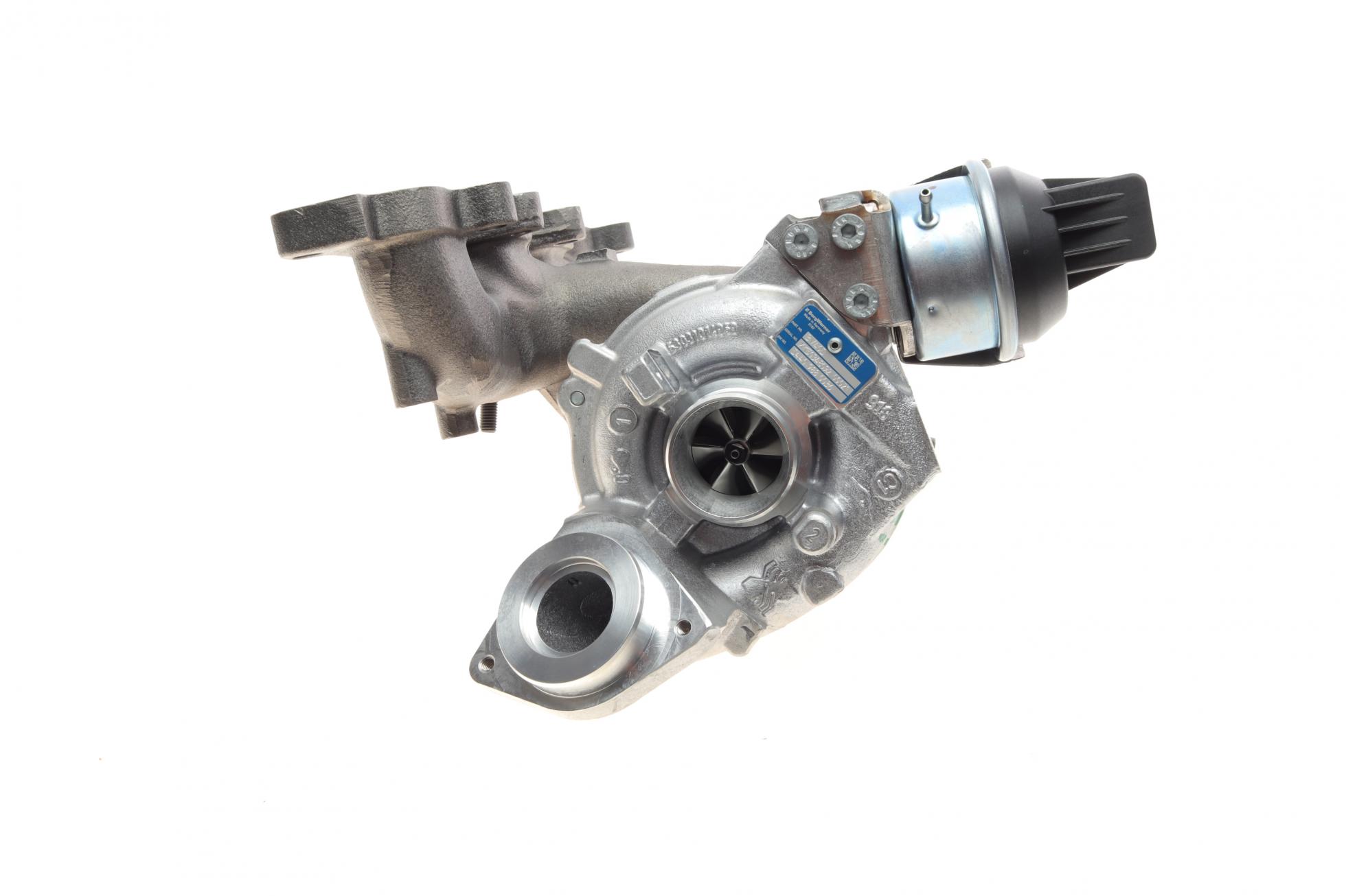 54409880036 BorgWarner