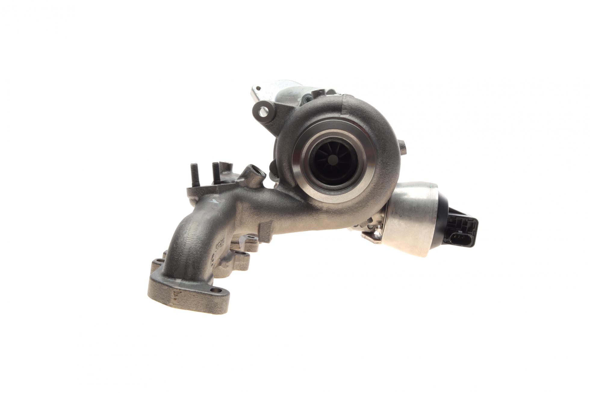 54409880036 BorgWarner
