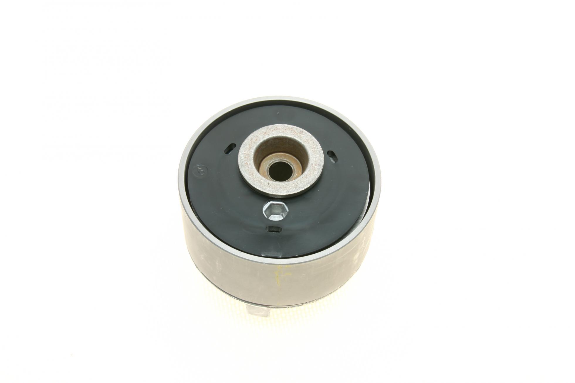 560000110 INA