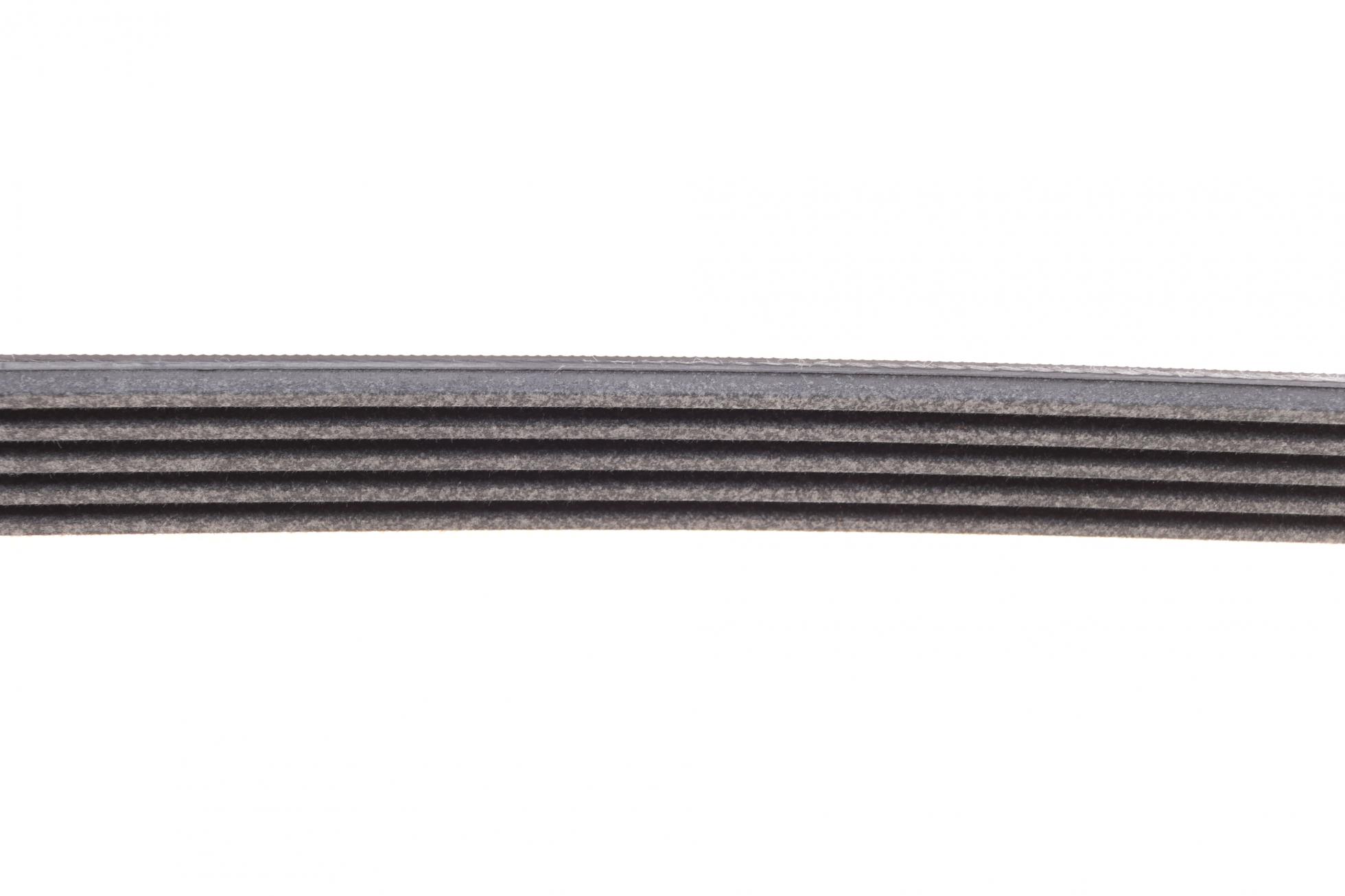 5PK1005 CONTITECH