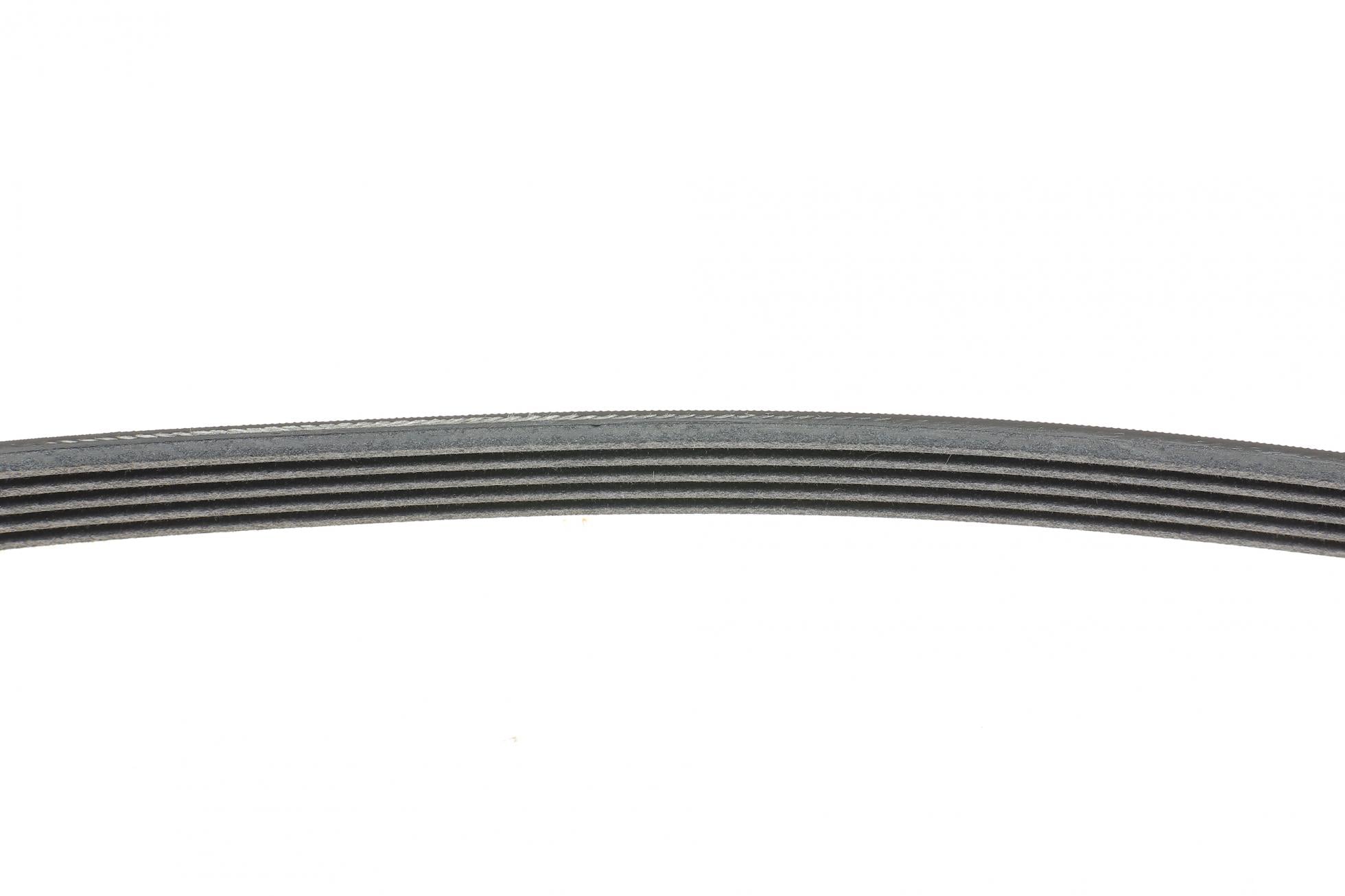 5PK1010 CONTITECH