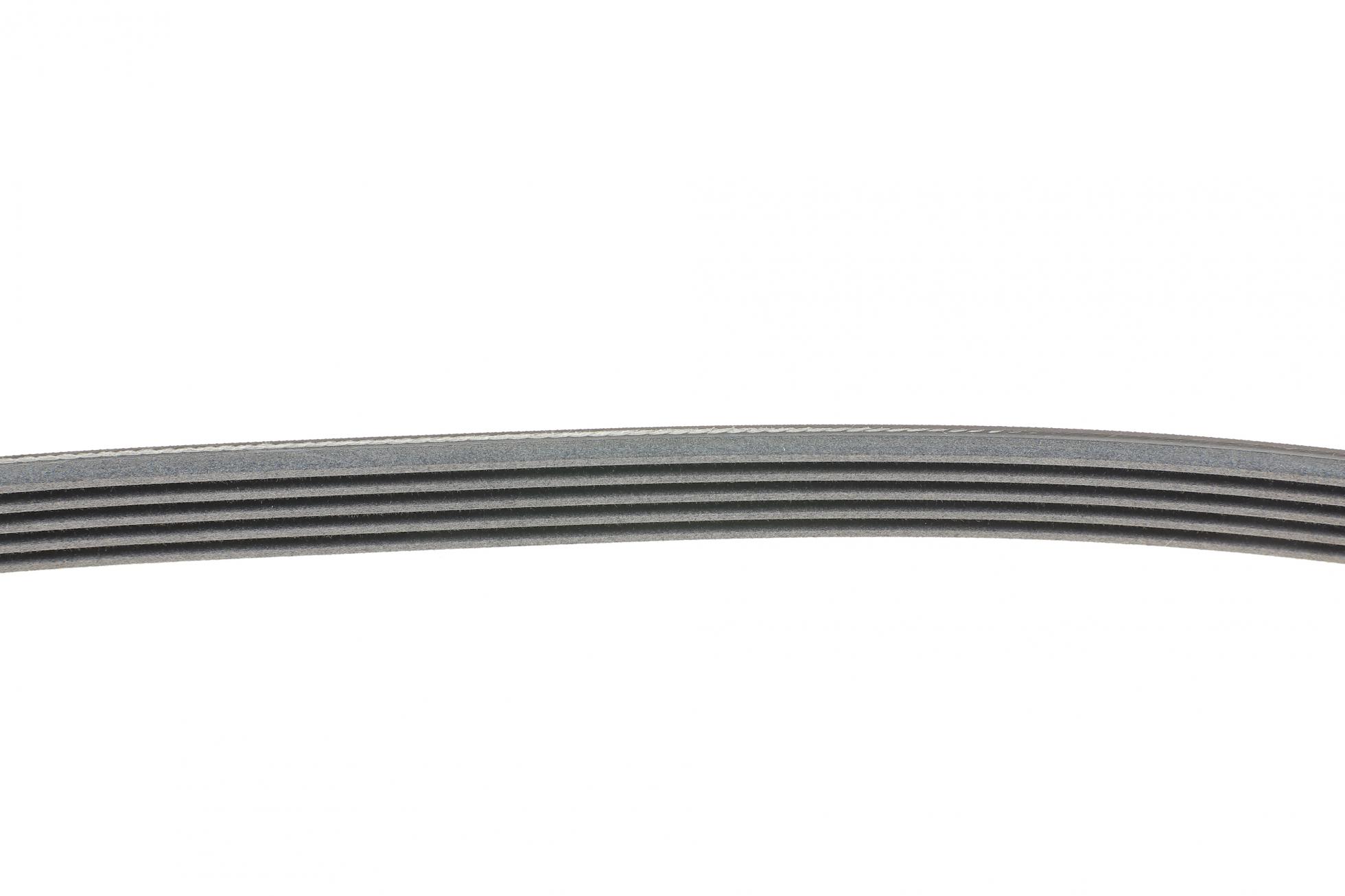 5PK1015 CONTITECH