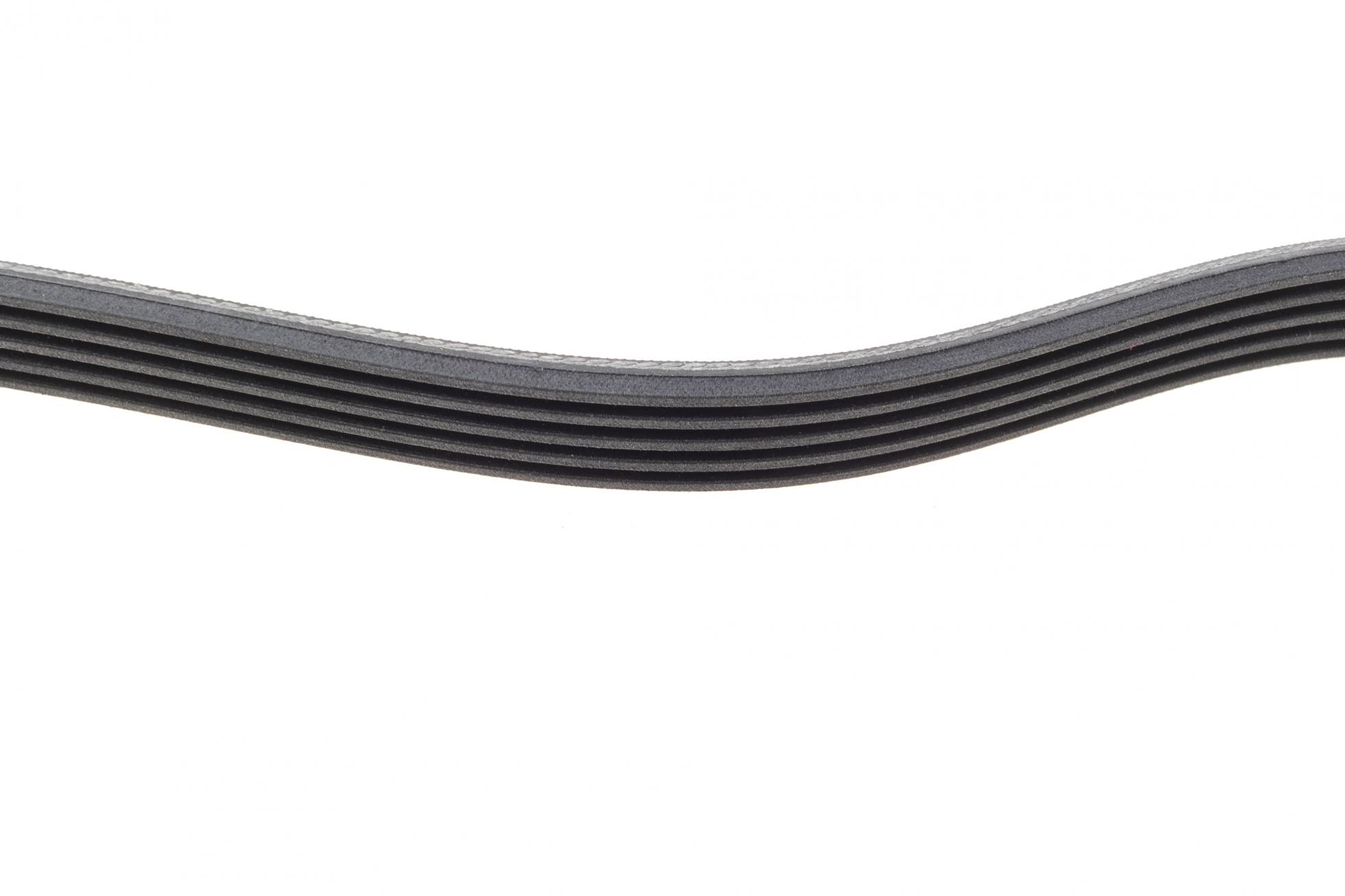 5PK1020 CONTITECH