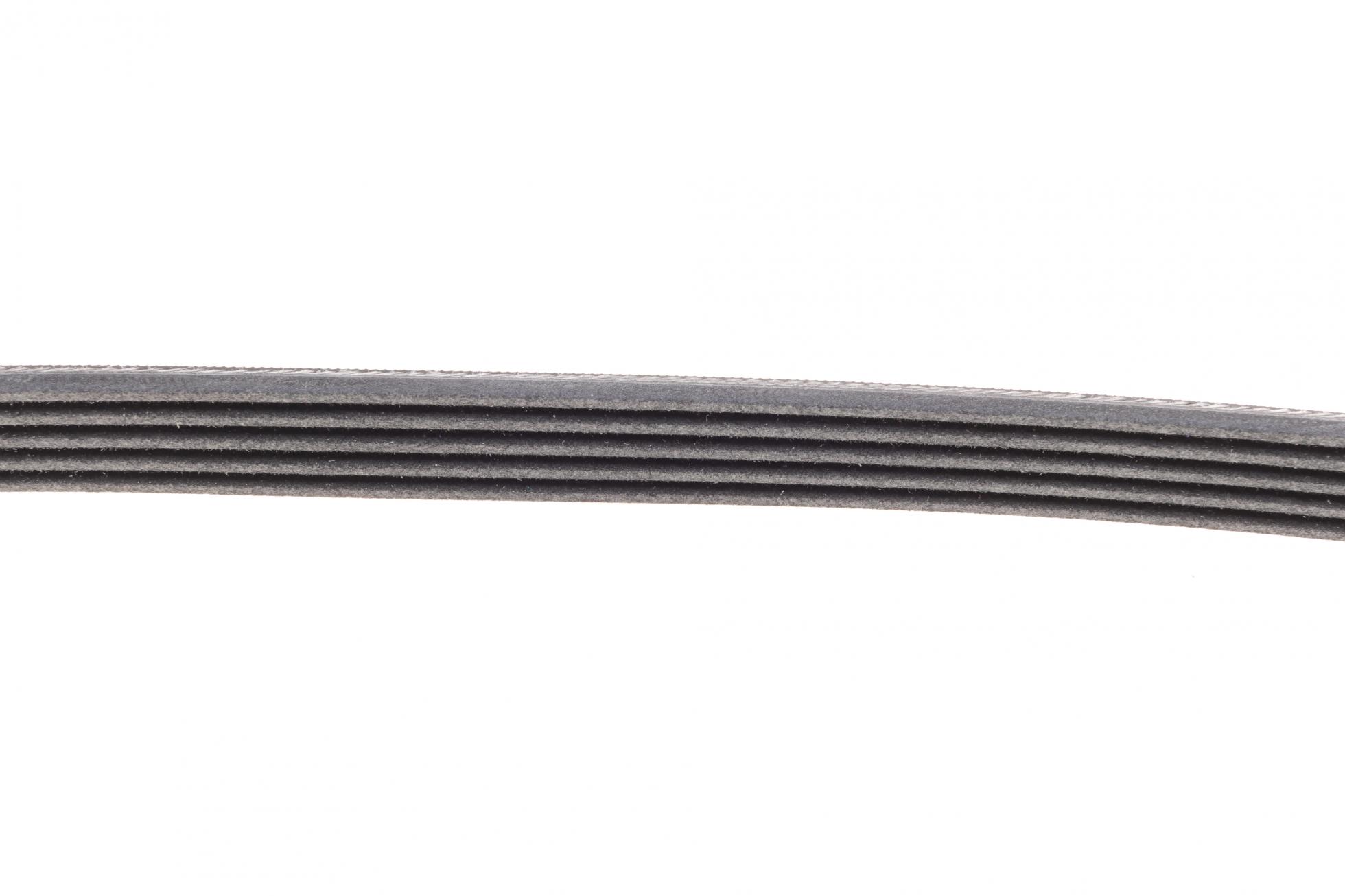 5PK1025 CONTITECH