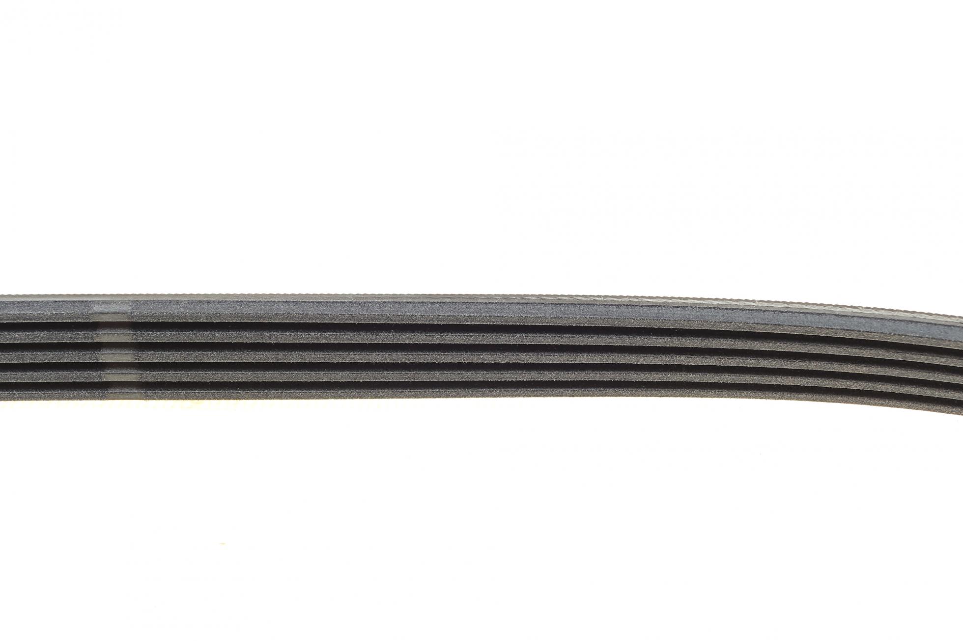 5PK1060 CONTITECH
