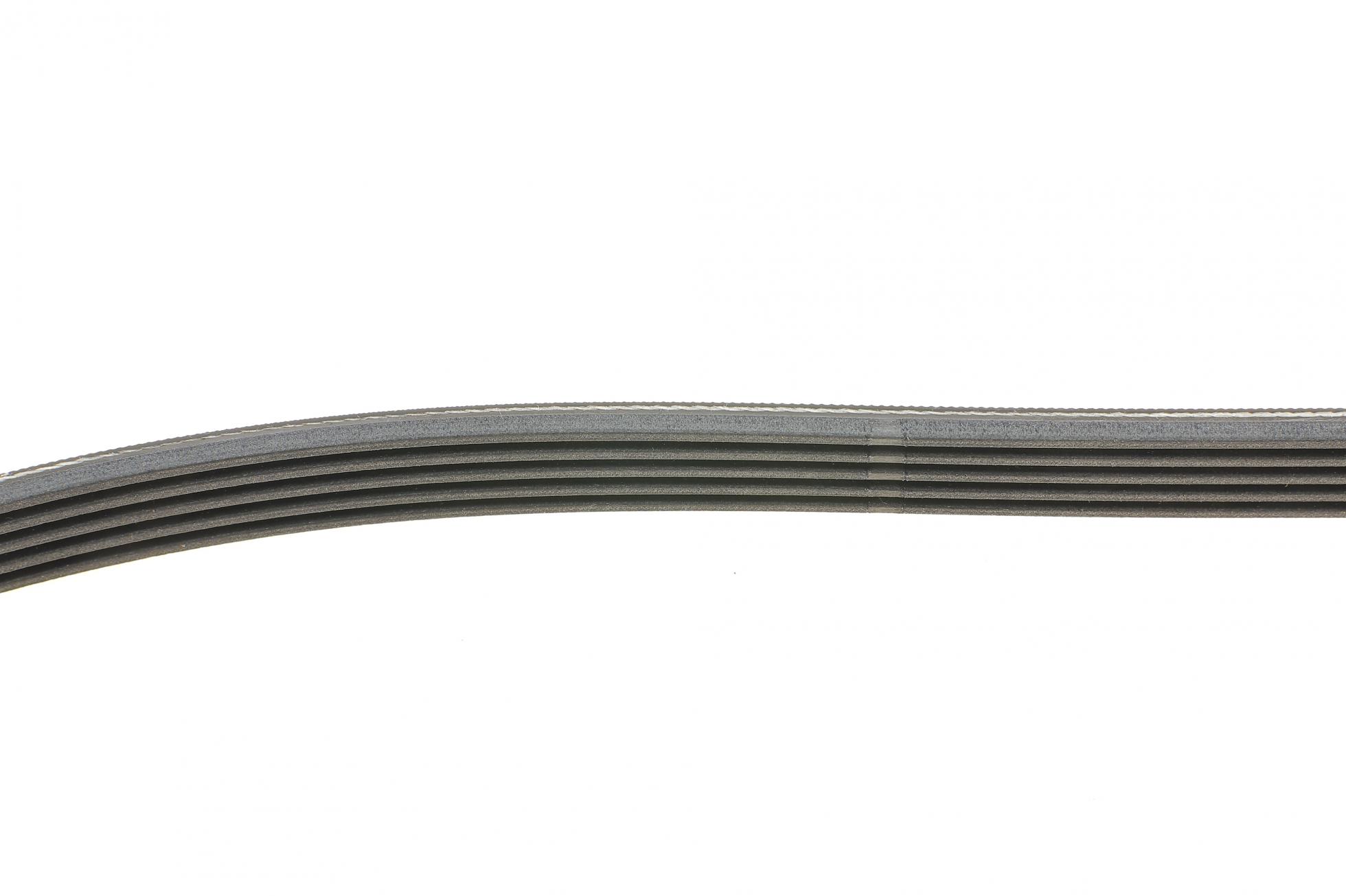 5PK1135K1 CONTITECH