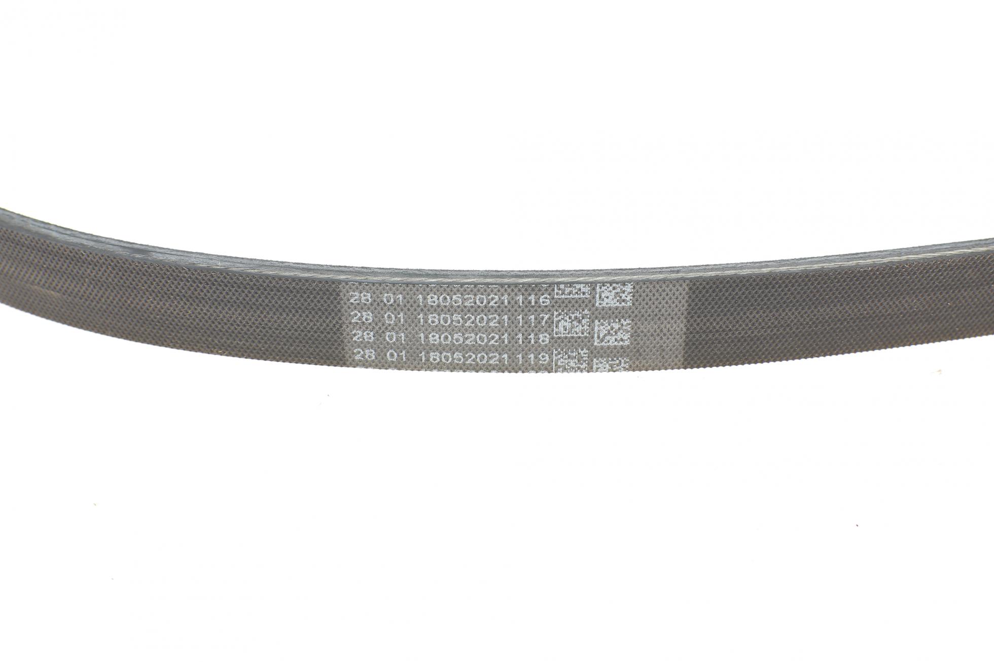 5PK1145 CONTITECH