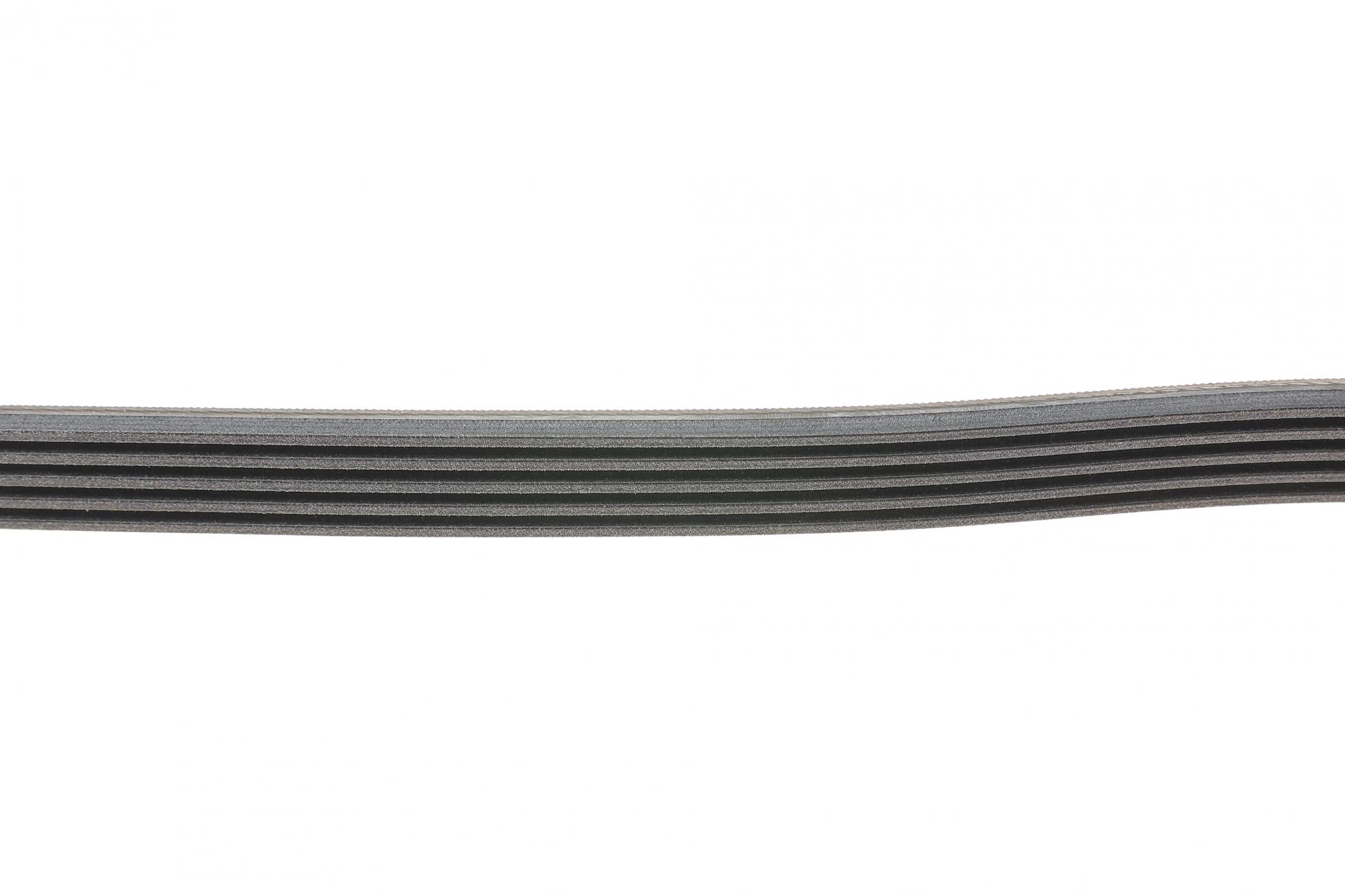 5PK1150 CONTITECH