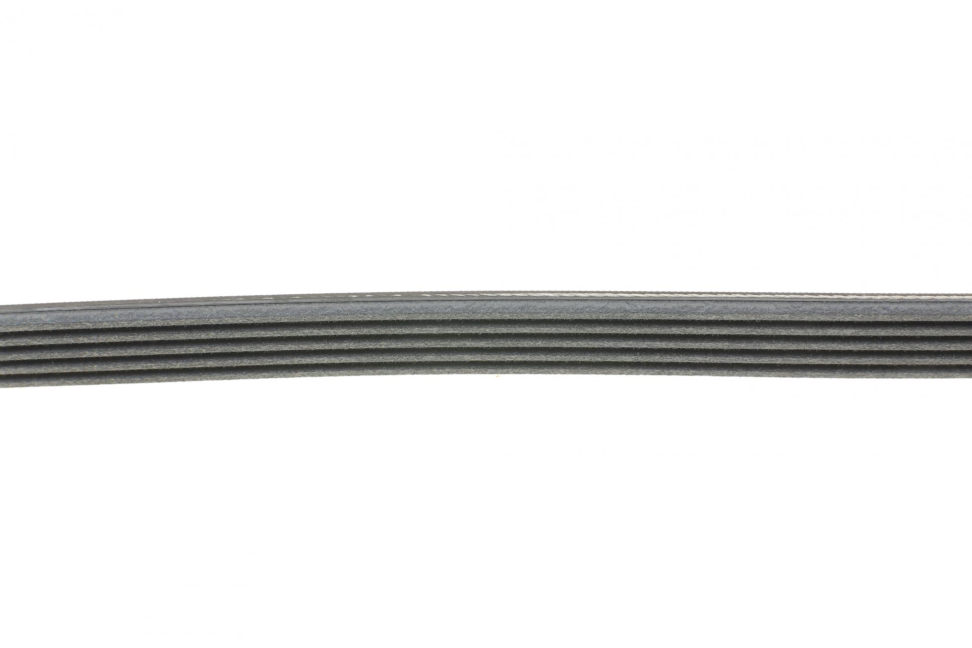 5PK1219 CONTITECH