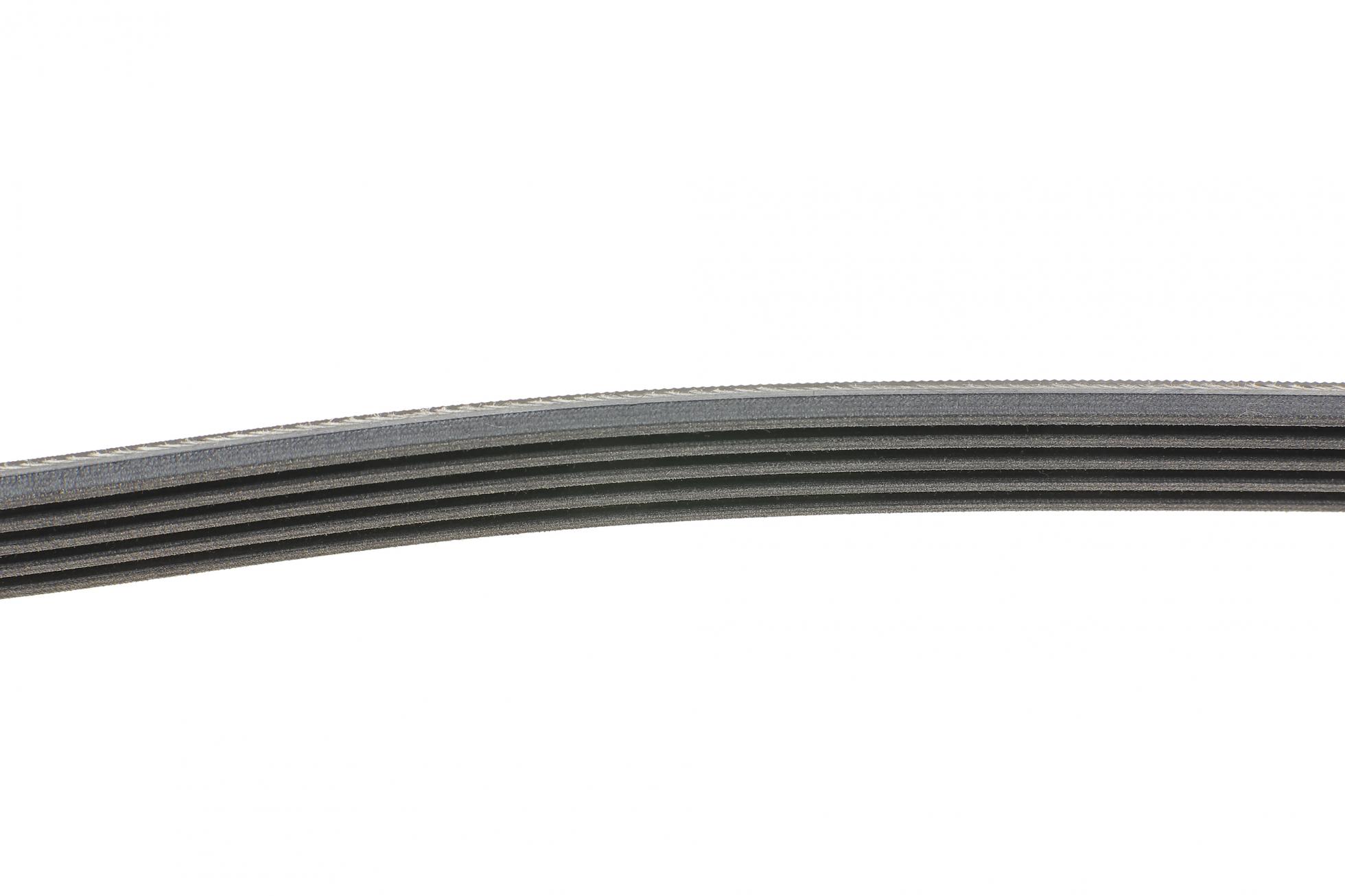 5PK1230 CONTITECH