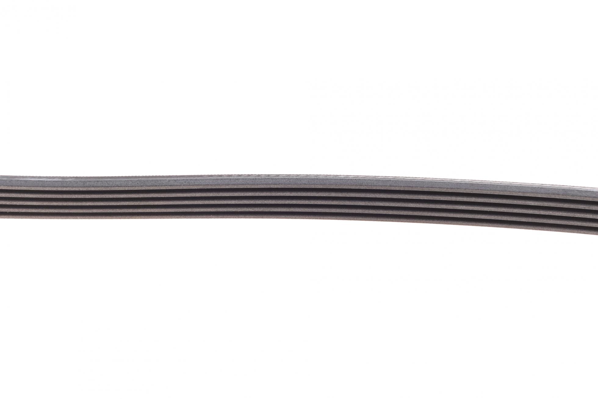 5PK1240 CONTITECH