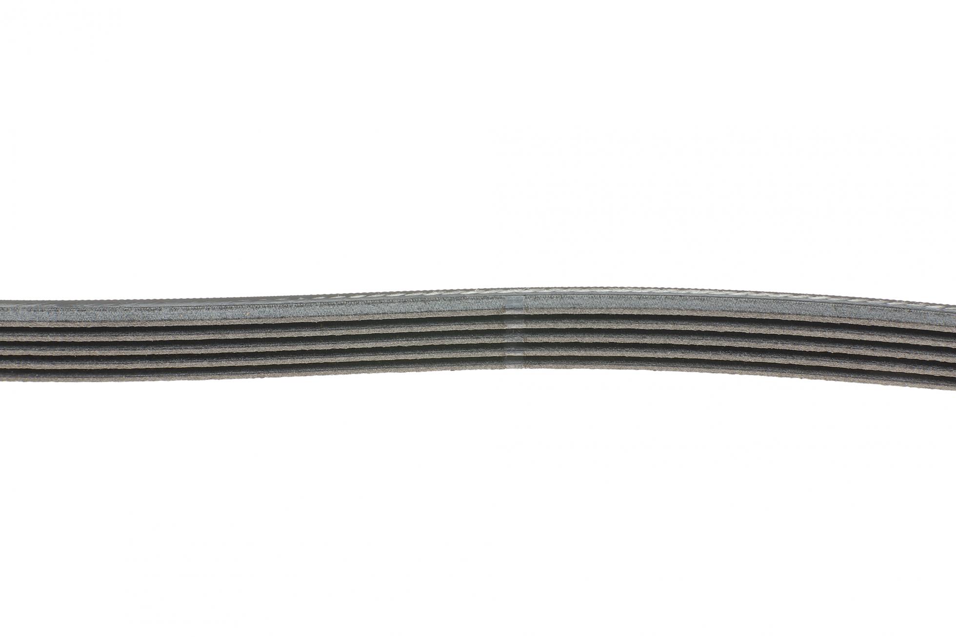 5PK1250 CONTITECH