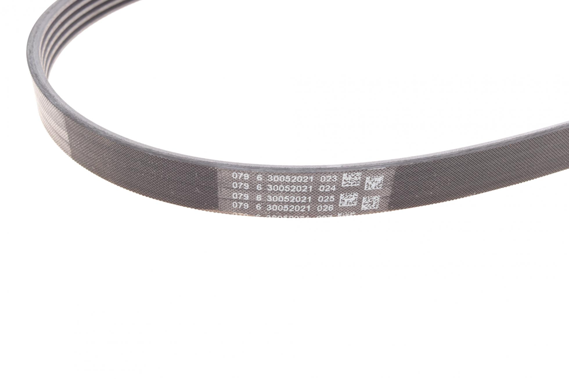 5PK1255 CONTITECH
