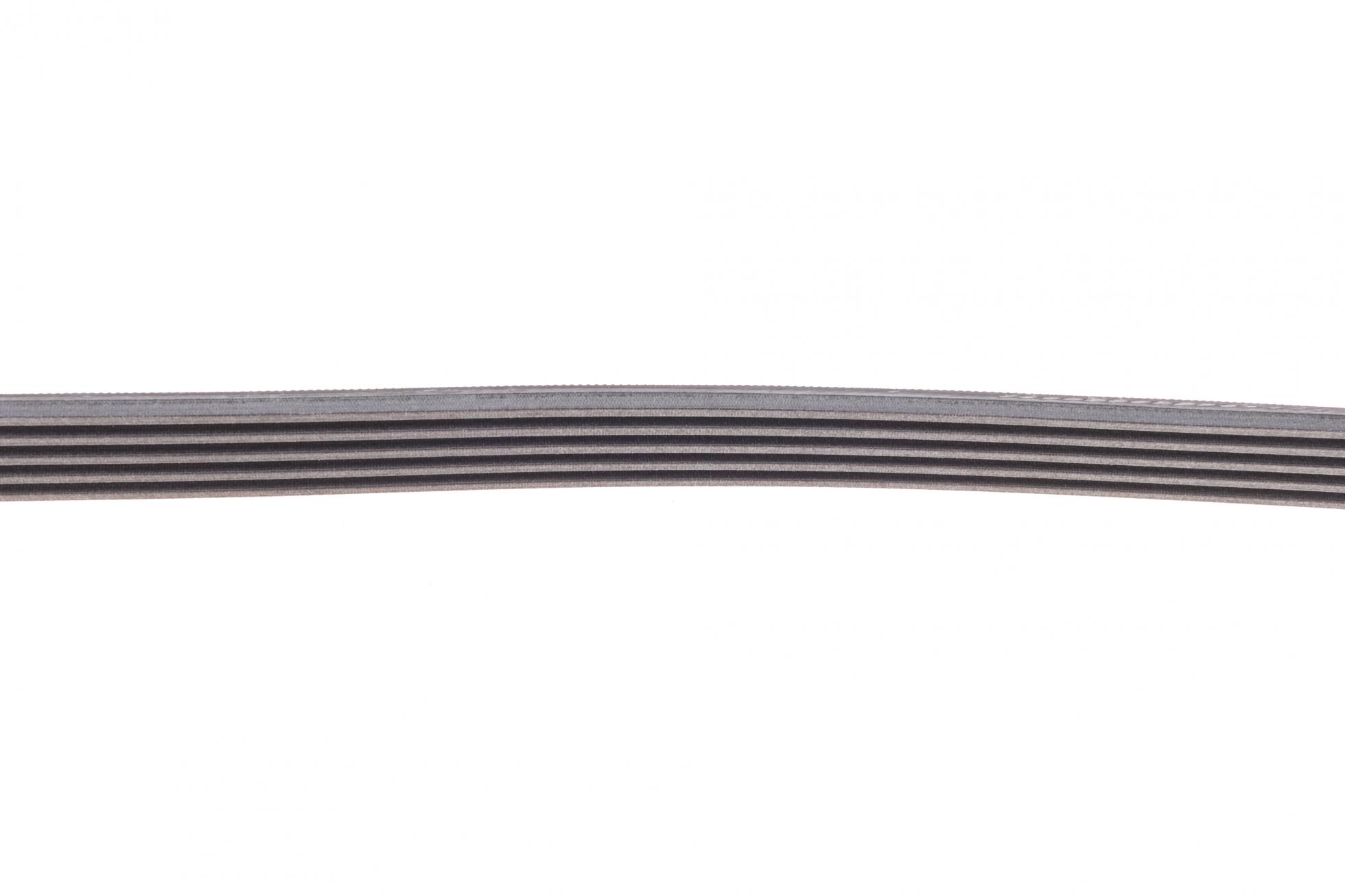 5PK1255 CONTITECH