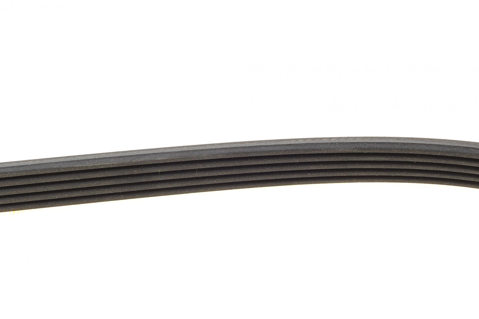 5PK1260 CONTITECH