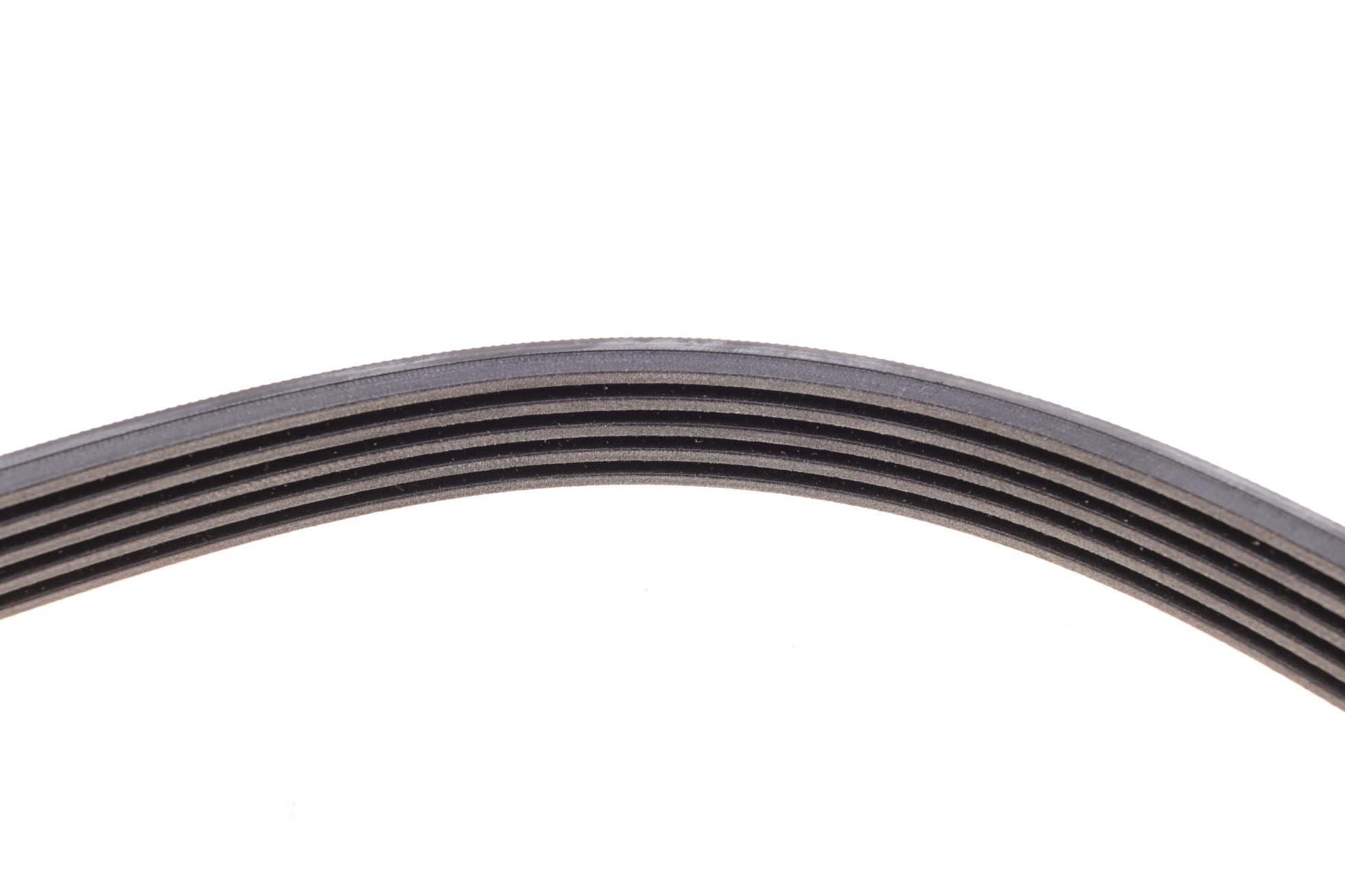 5PK1334 CONTITECH