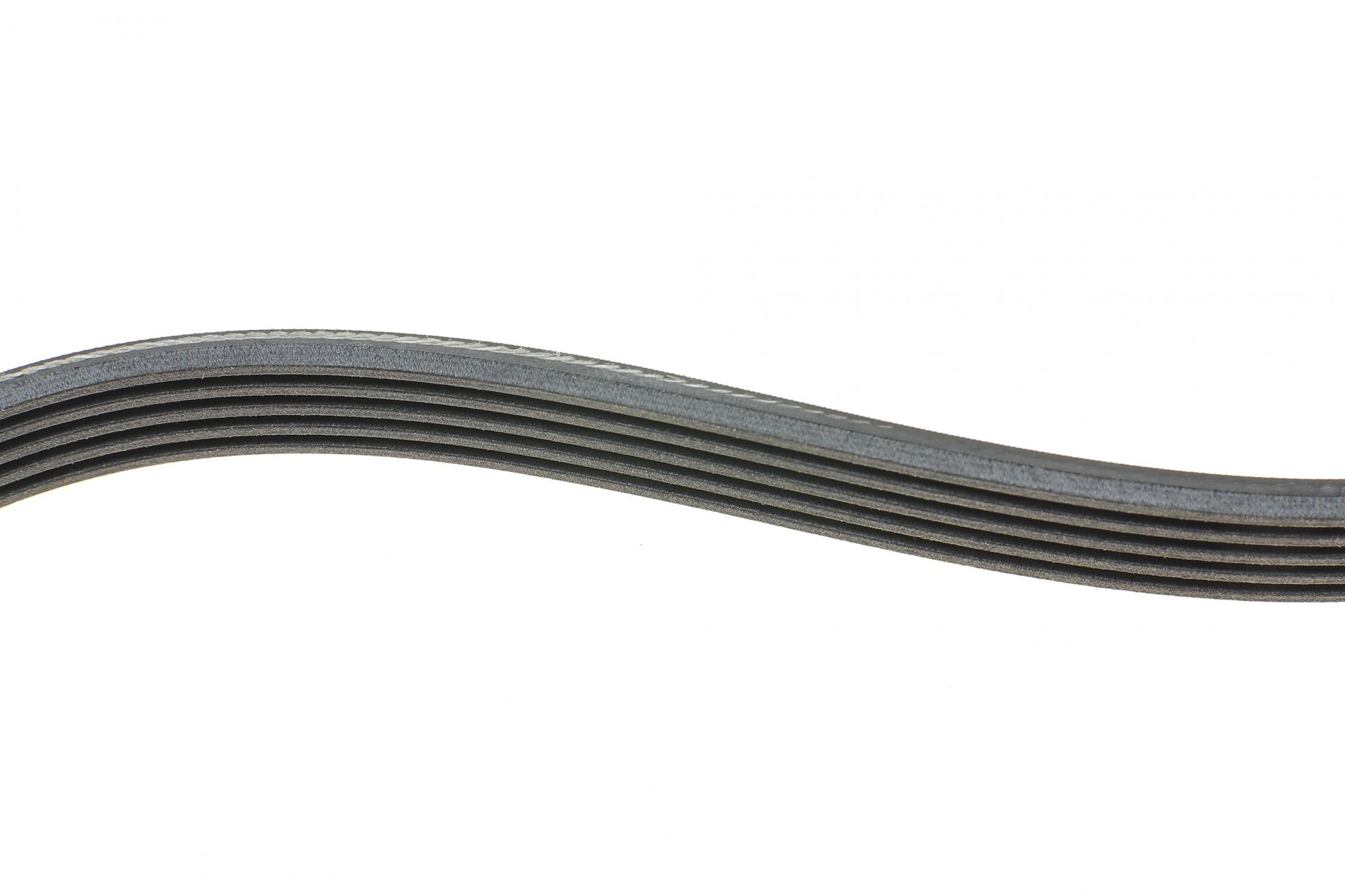 5PK1355 CONTITECH