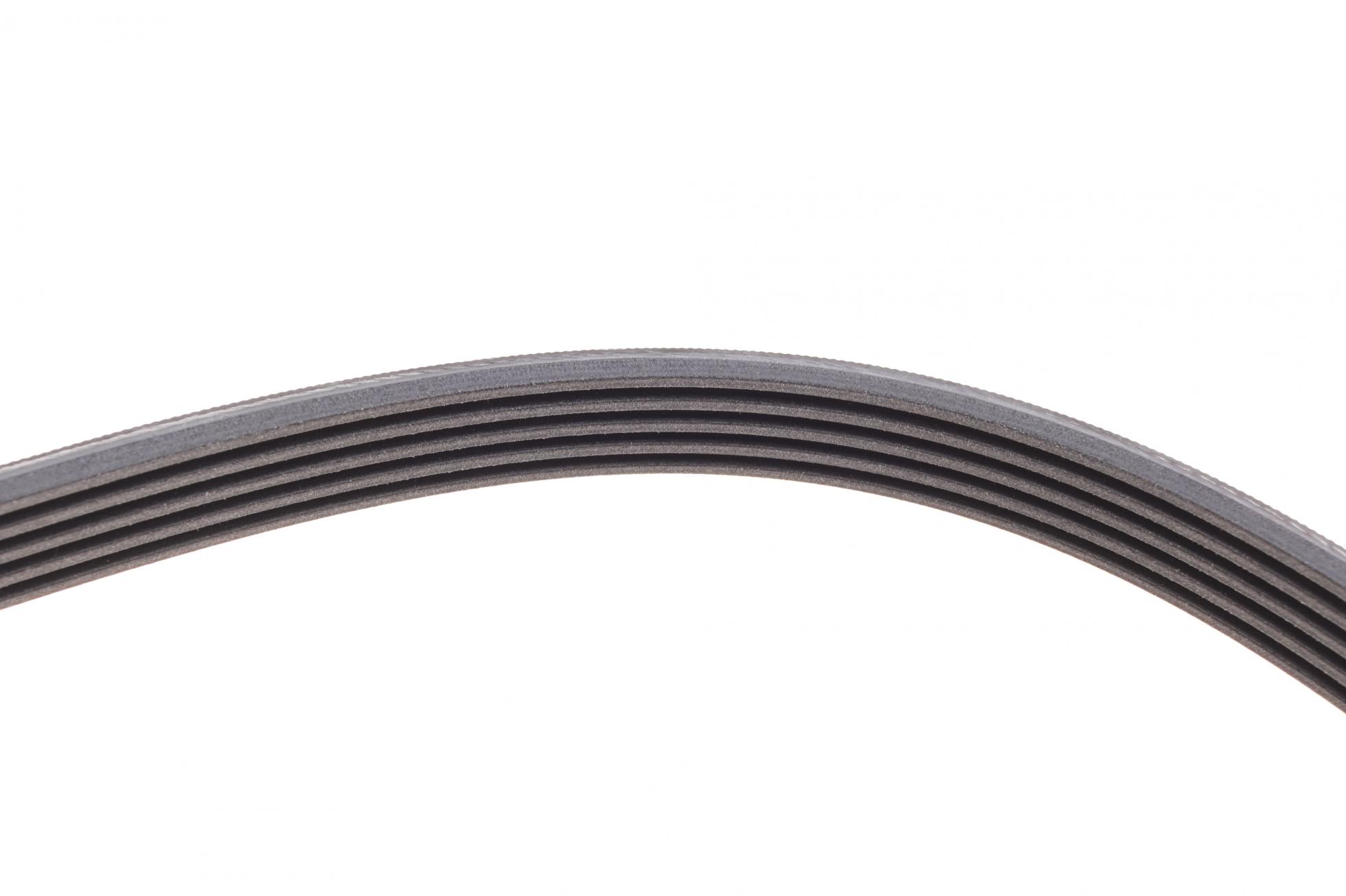 5PK1546 CONTITECH